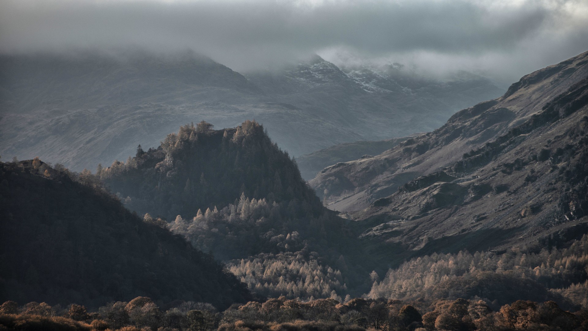Misty mountains and trees in a valley HD Wallpaper