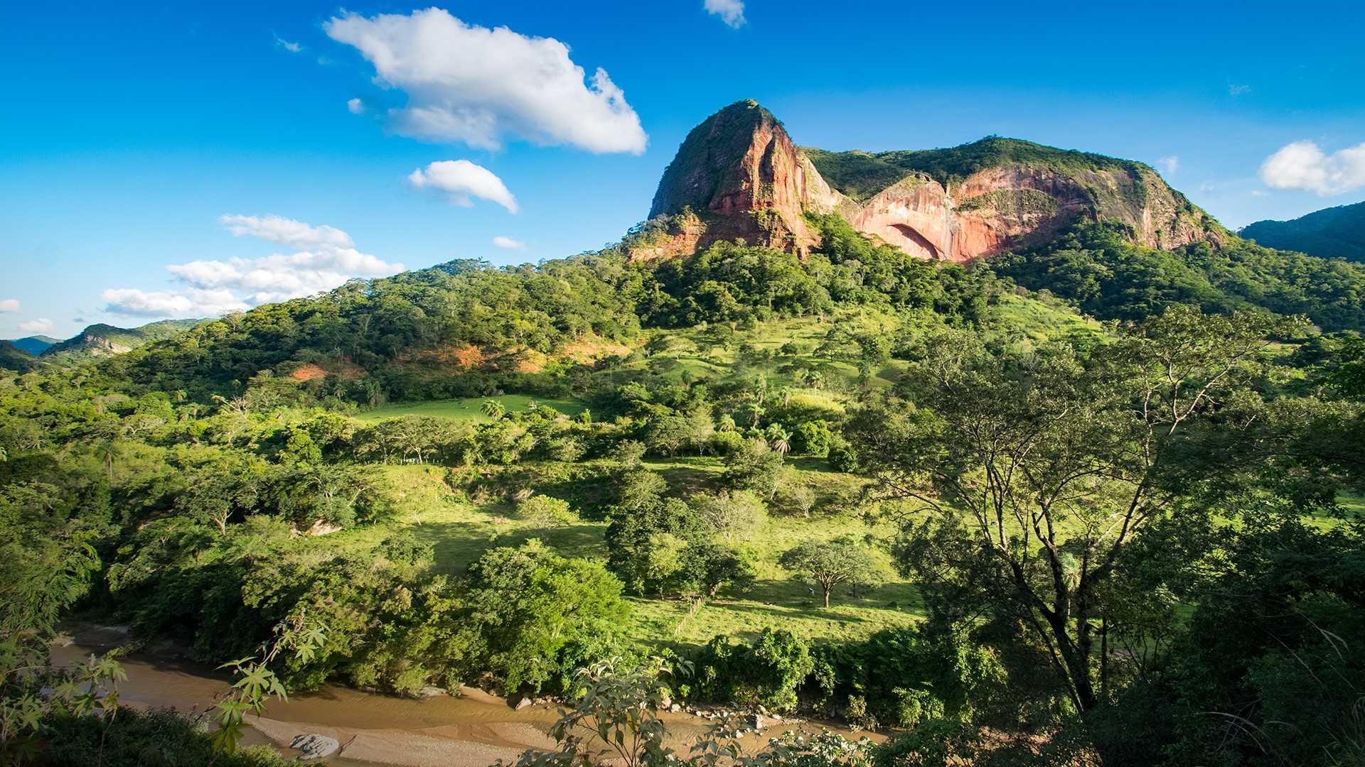 Mountain landscape with trees and river HD Wallpaper
