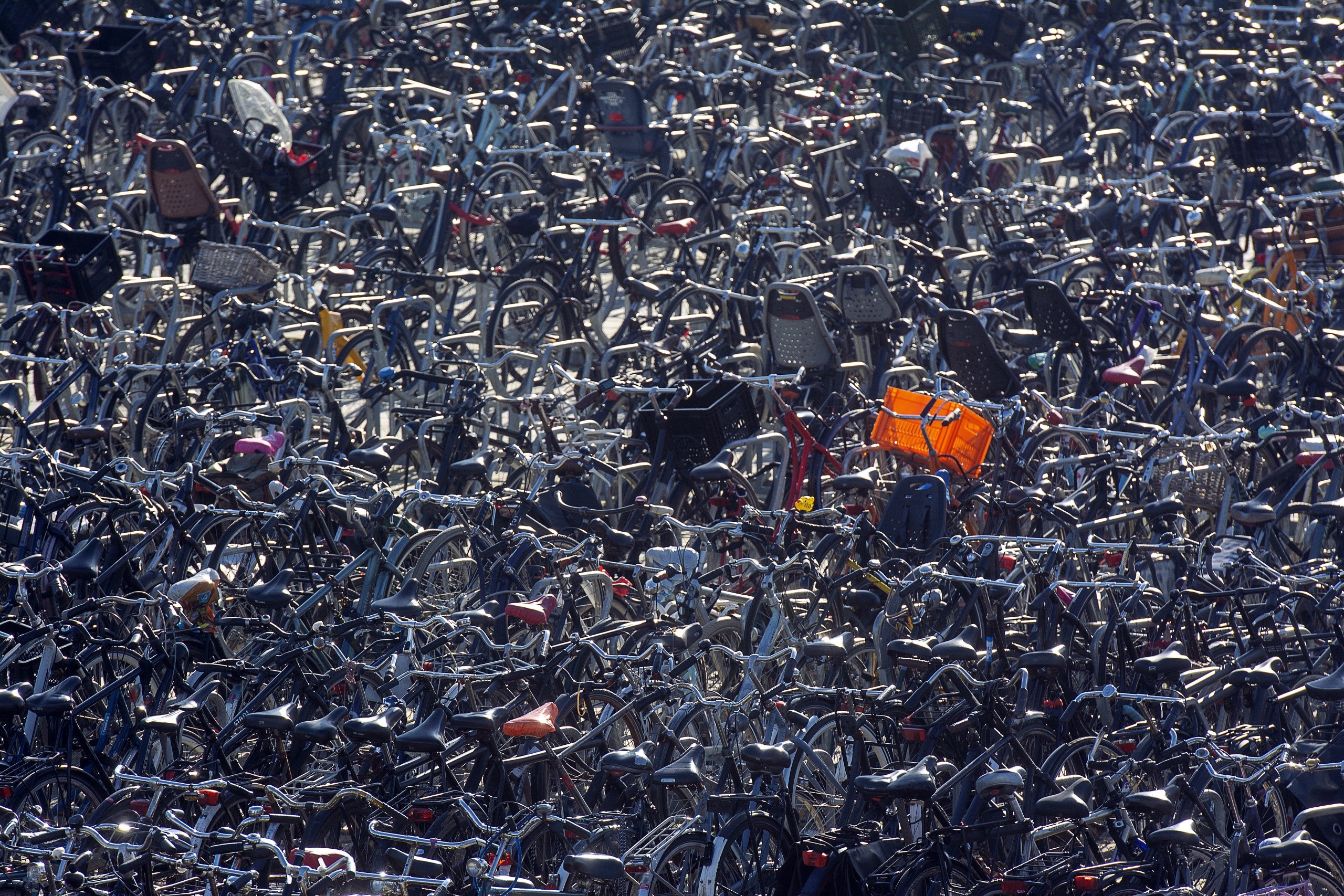 A massive pile of parked bicycles HD Wallpaper