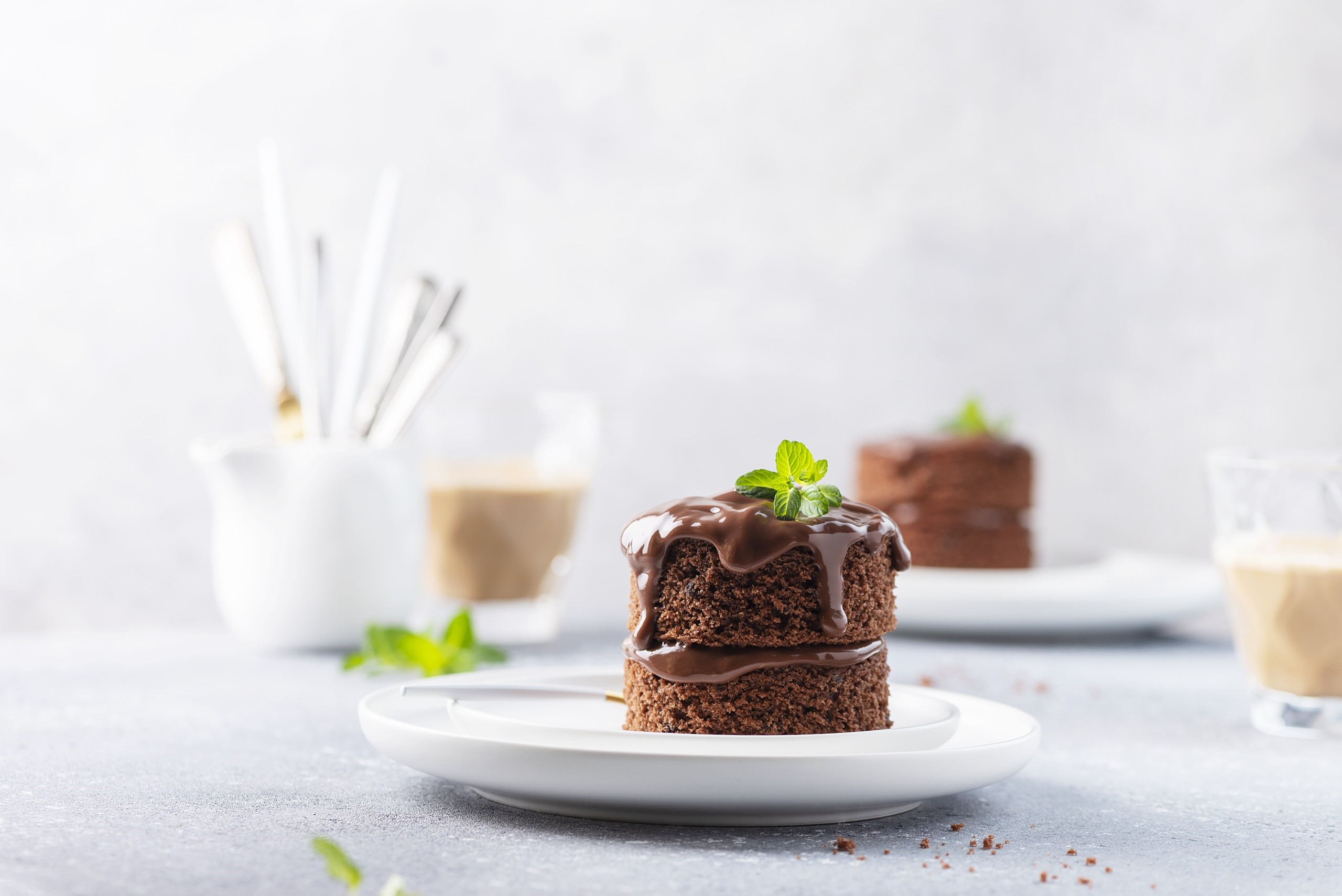 Two chocolate cakes with chocolate glaze and mint HD Wallpaper