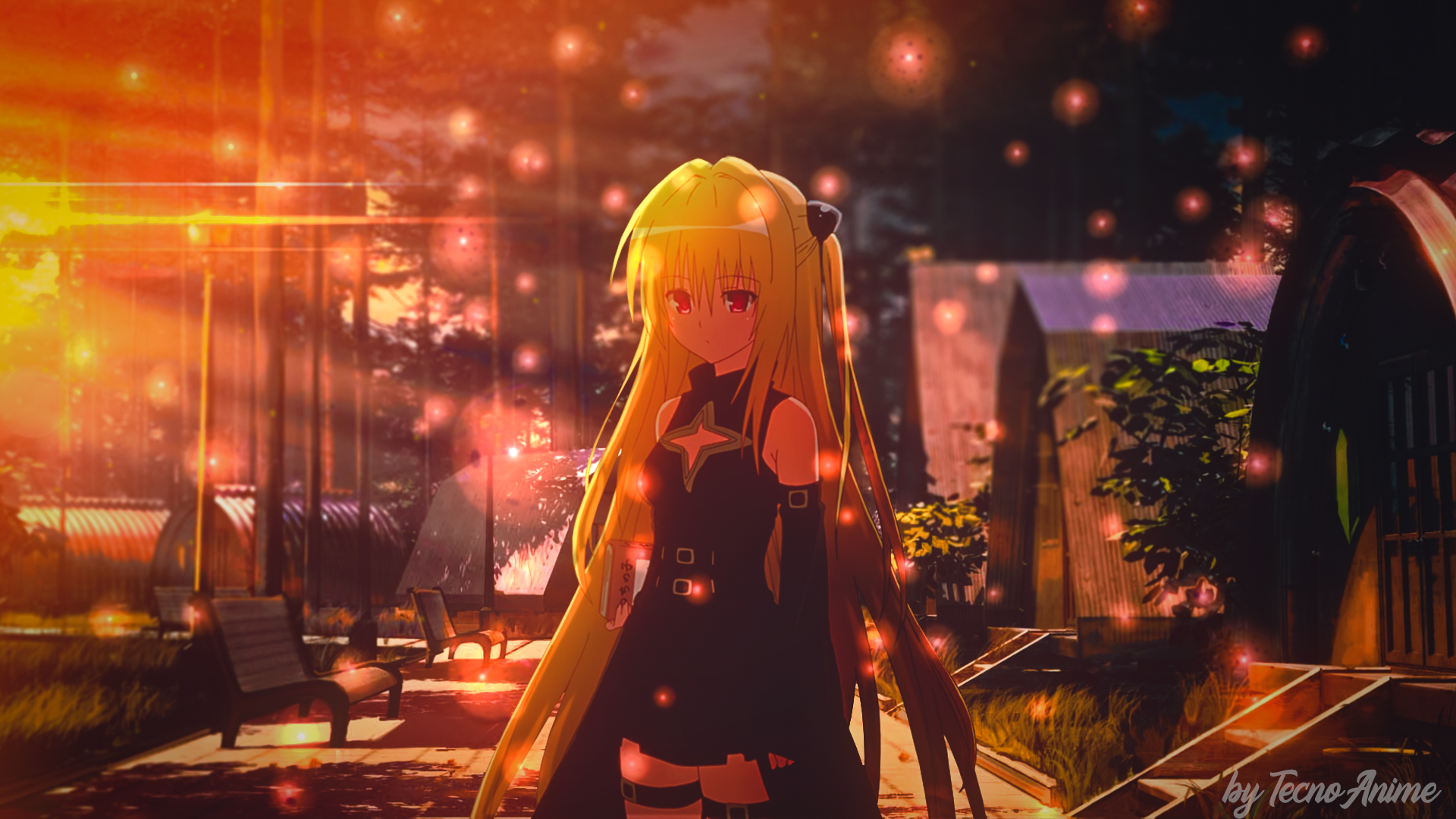 Golden Darkness from To Love-Ru in a park at sunset HD Wallpaper