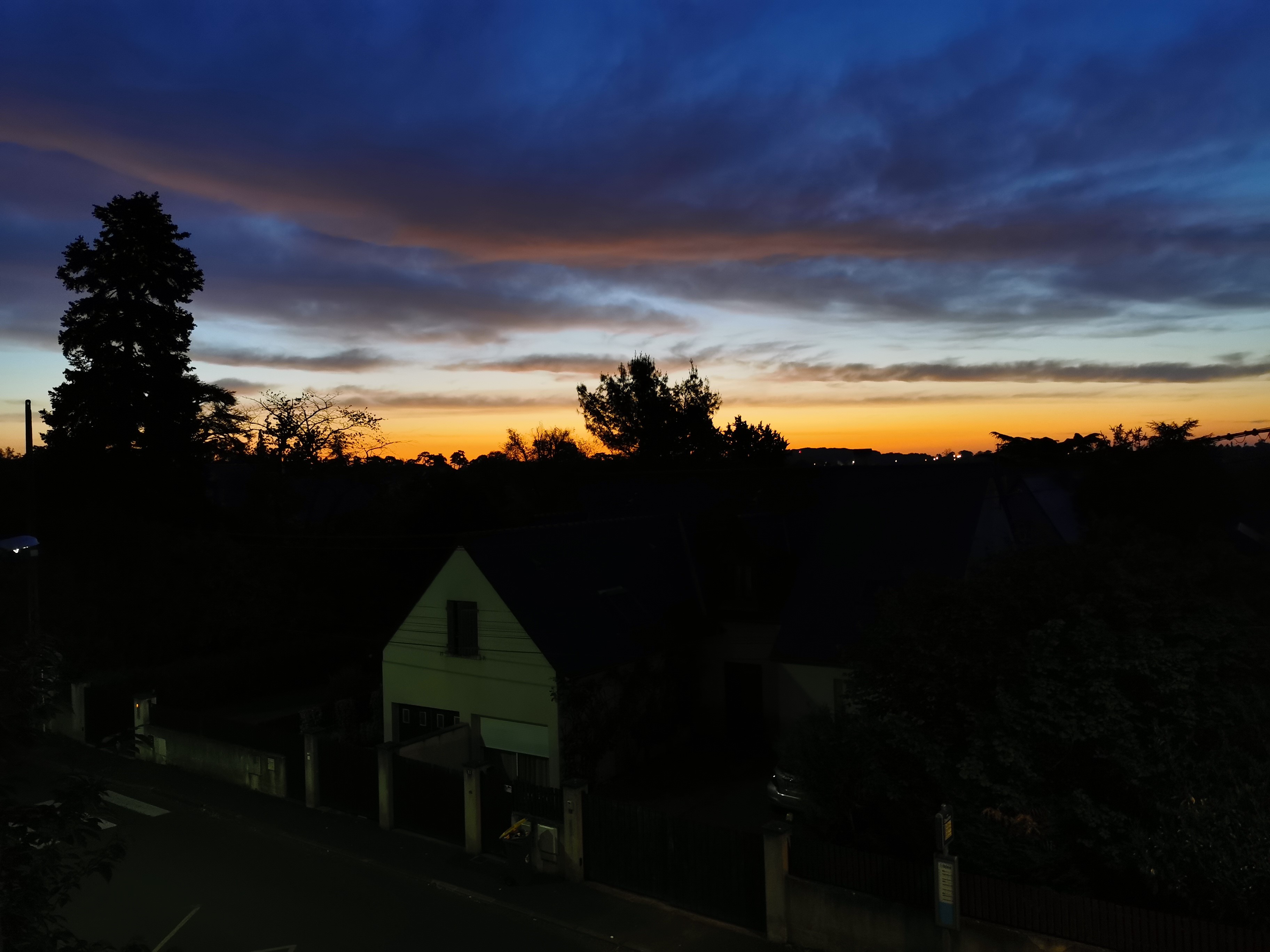 Sunset over a suburban landscape with silhouetted trees HD Wallpaper