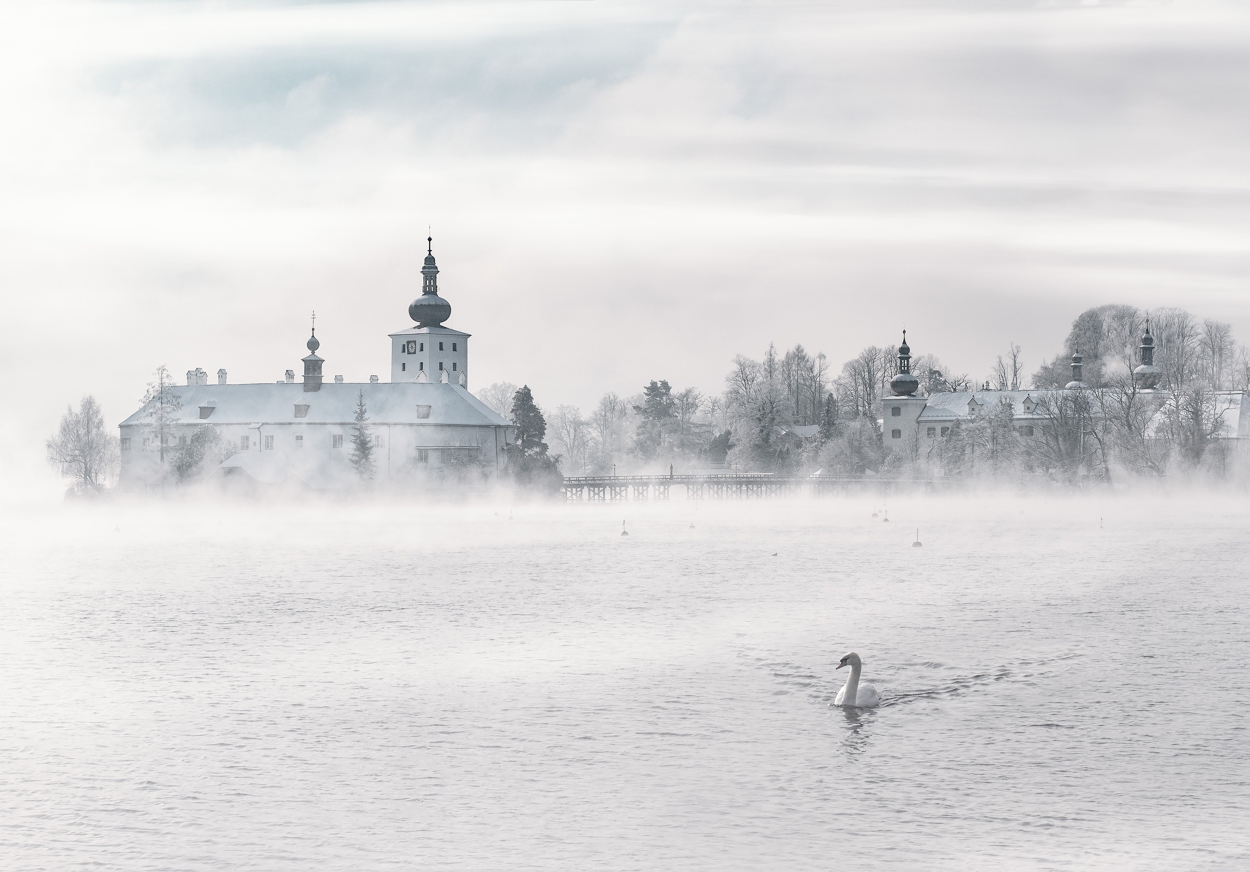 Castle on a foggy lake with a swan HD Wallpaper