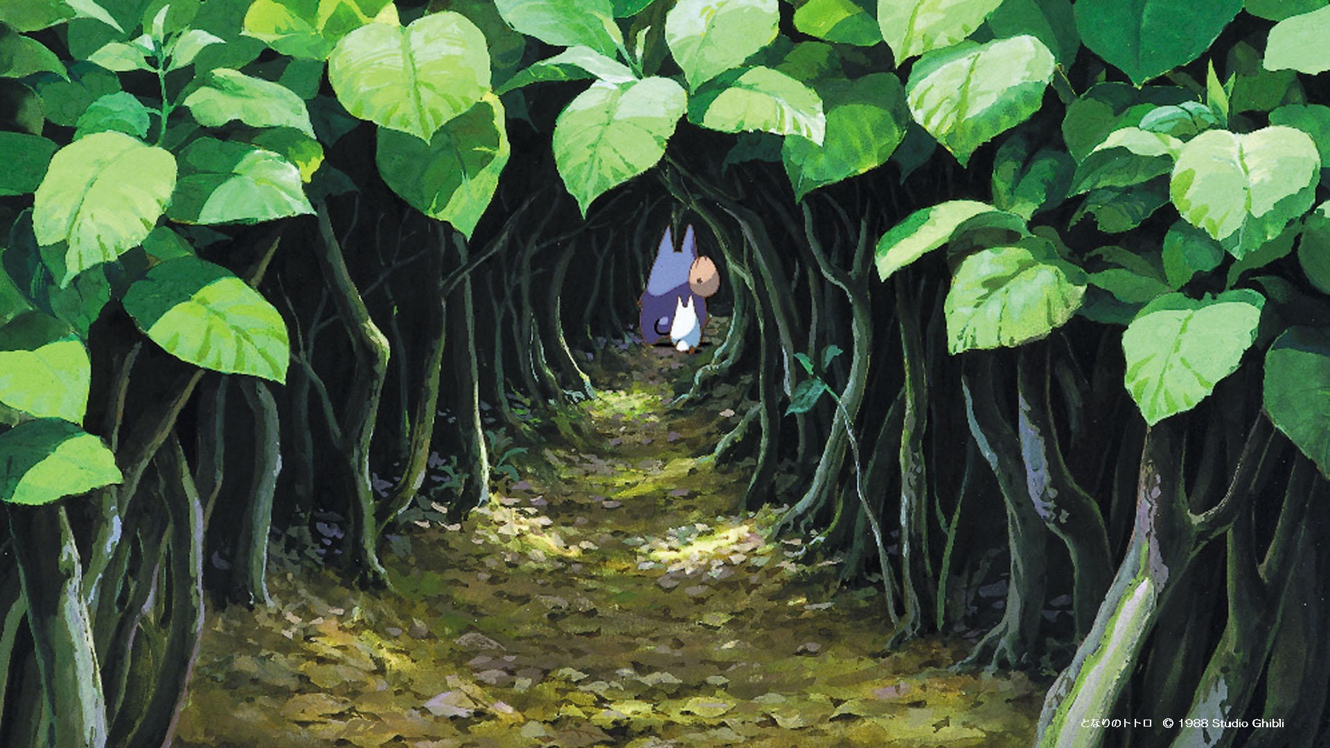 Totoro and companion in a forest path HD Wallpaper