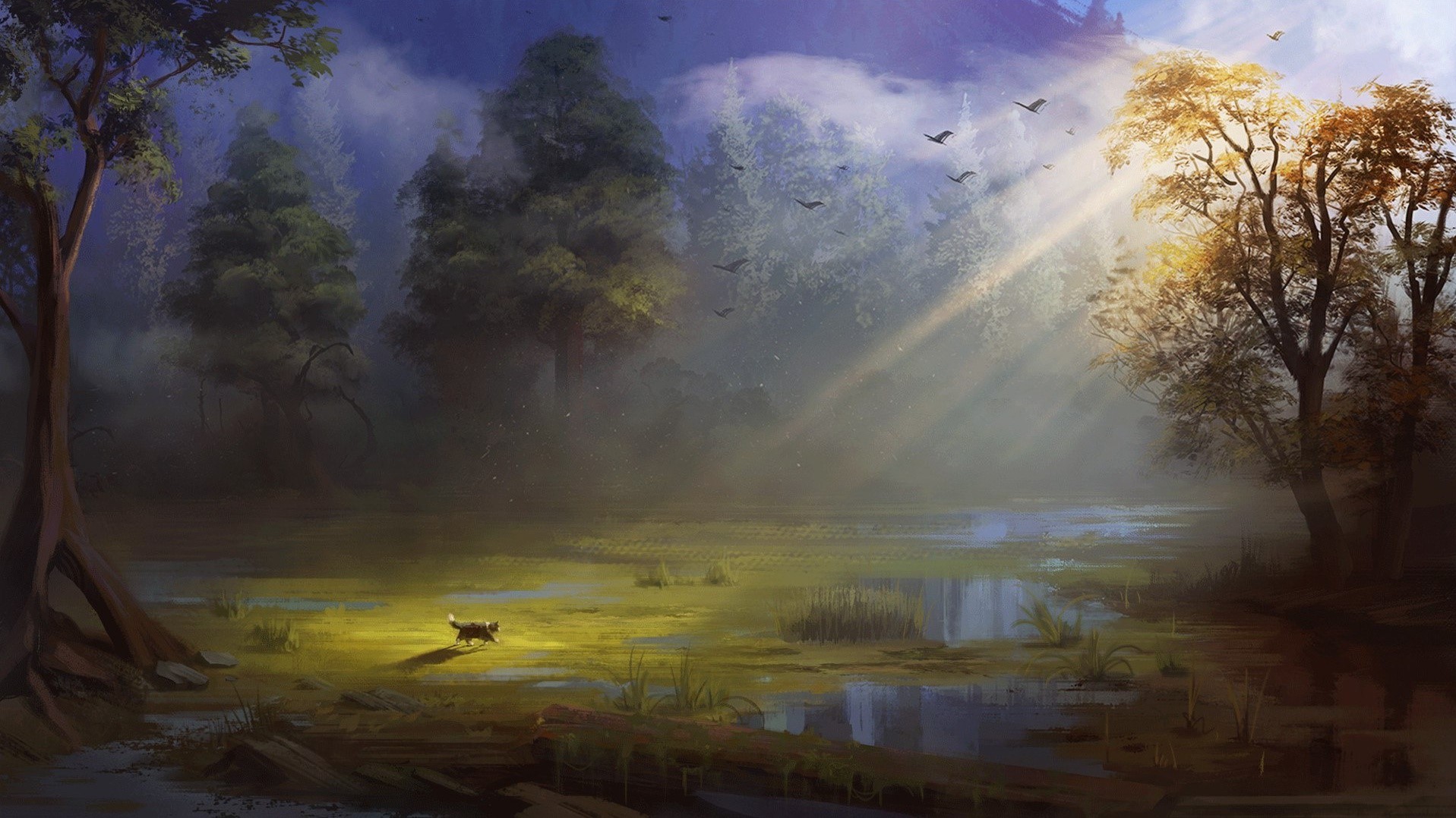 Cat walking through a misty forest with sun rays HD Wallpaper
