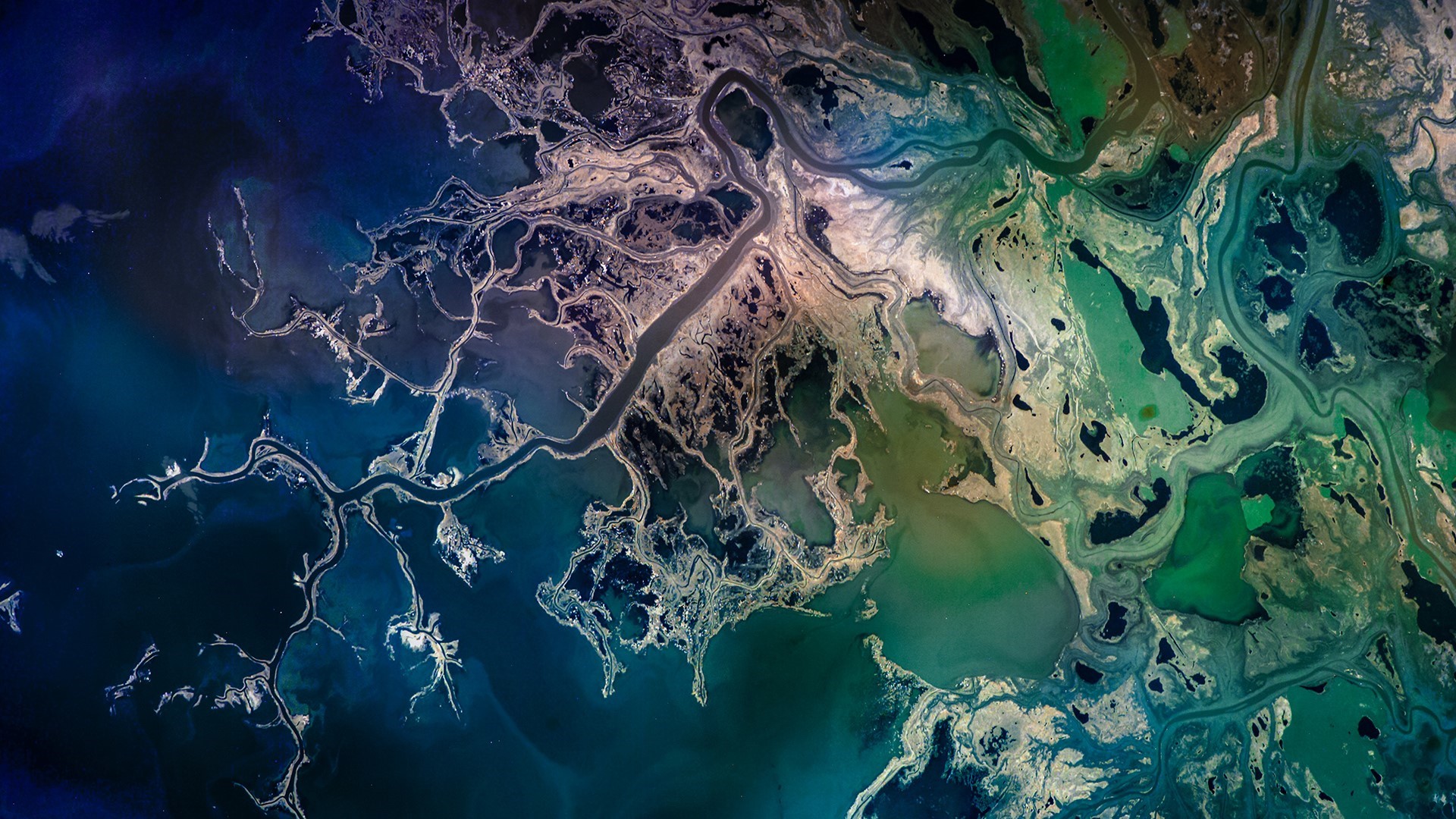 Aerial view of river delta in Canada HD Wallpaper