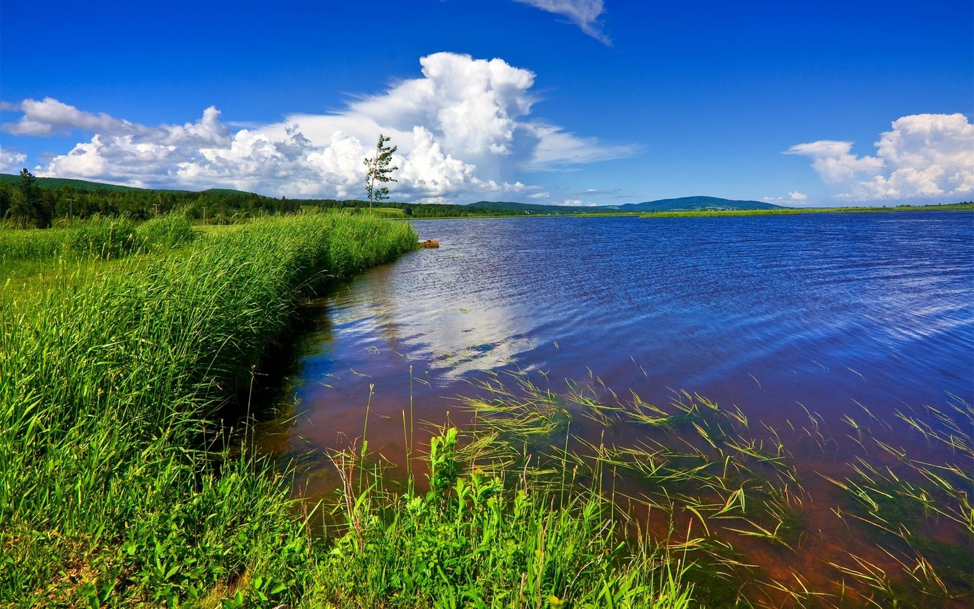 A wide blue lake with green grassy shores under a cloudy sky HD Wallpaper