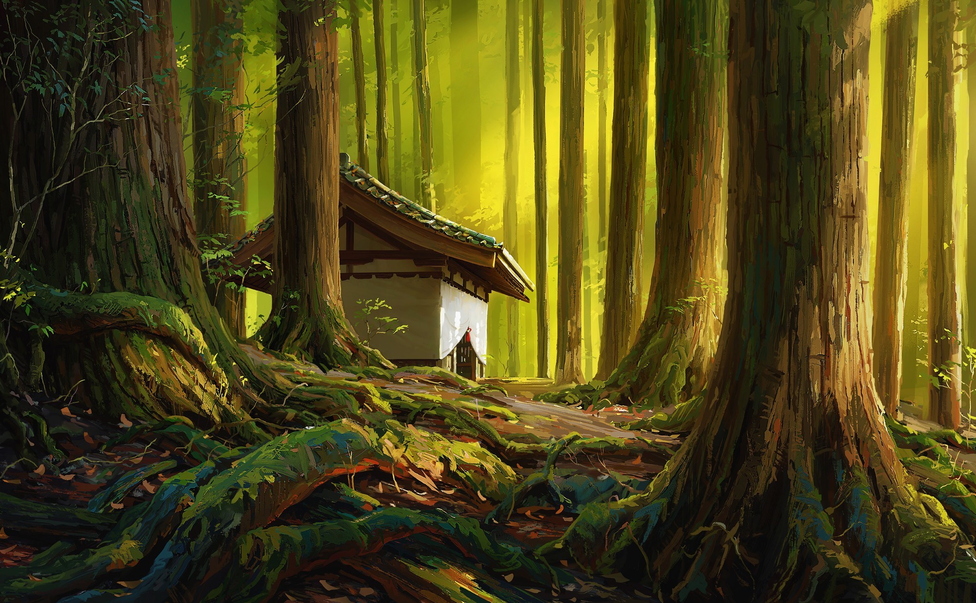 A small building in a sunlit forest HD Wallpaper