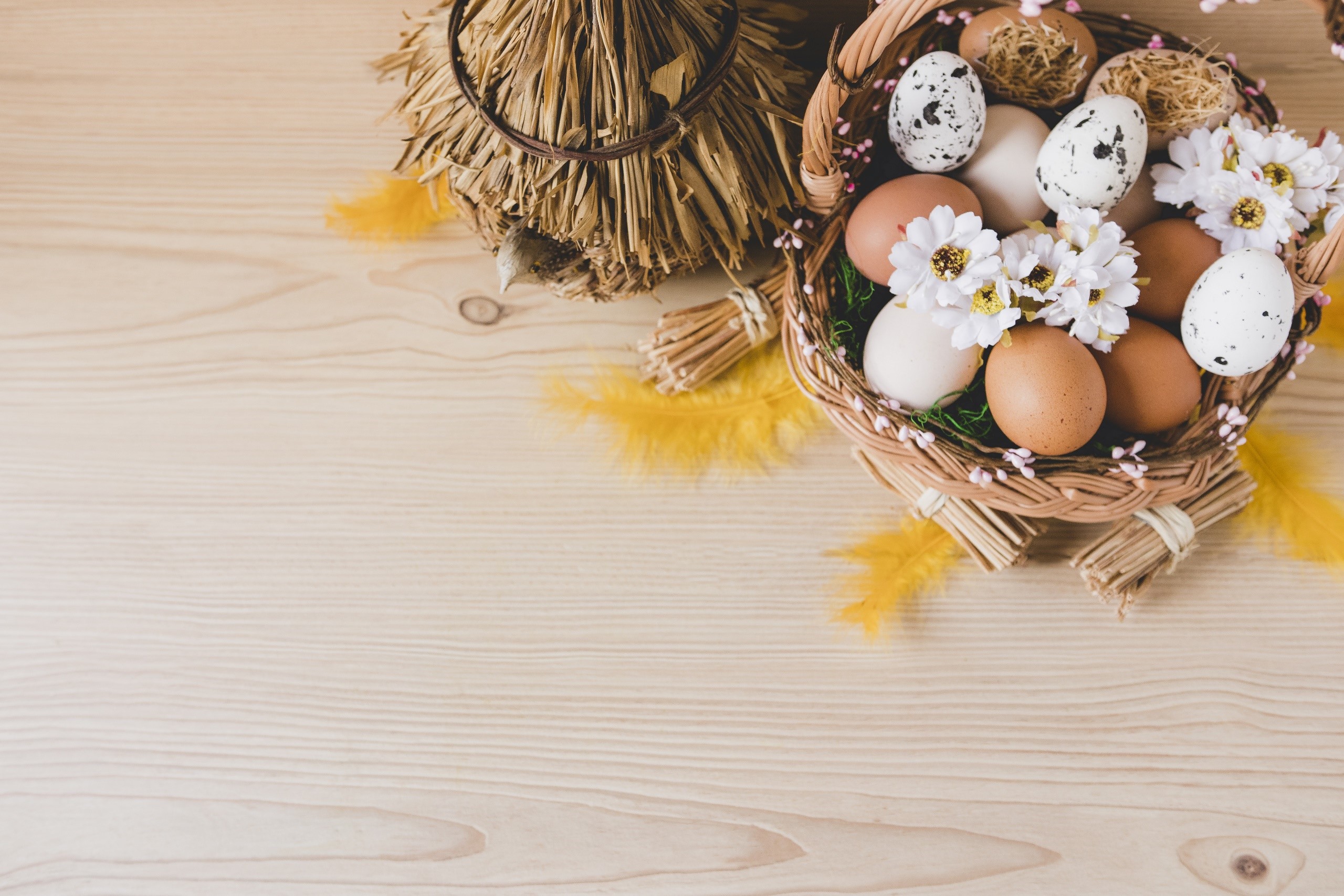 Easter eggs in a basket with flowers and feathers HD Wallpaper