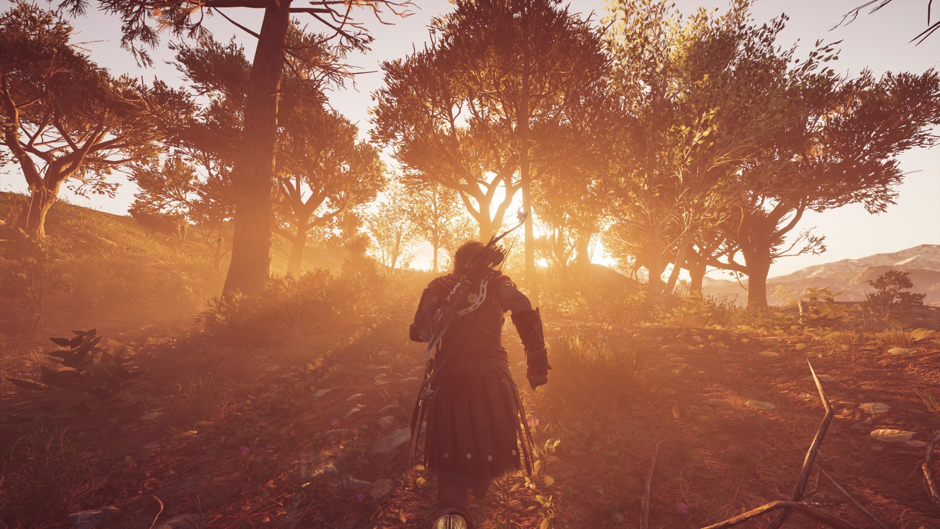 Kassandra from Assassin's Creed: Odyssey in a forest at sunrise HD Wallpaper