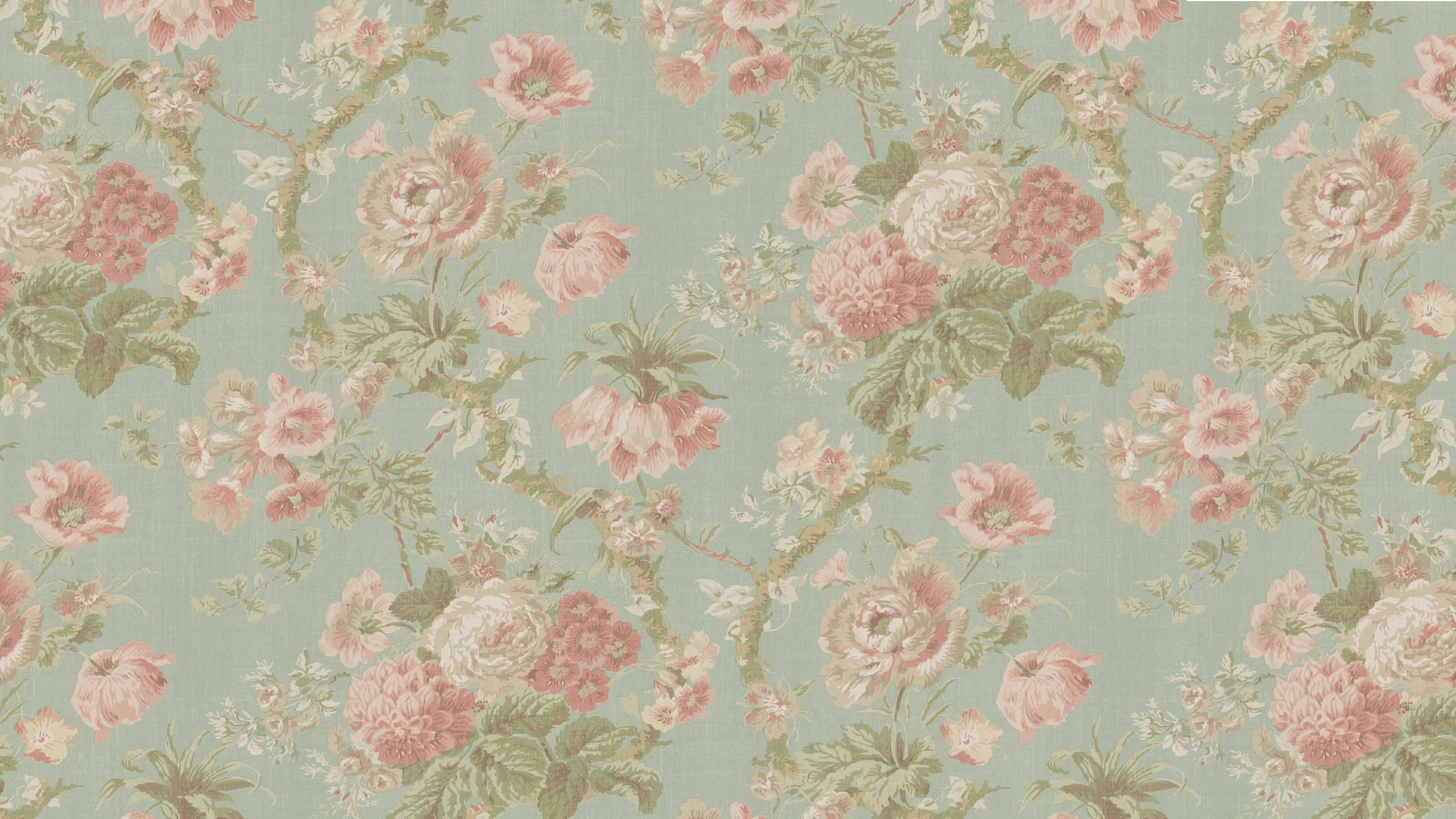 Floral pattern with roses and branches HD Wallpaper