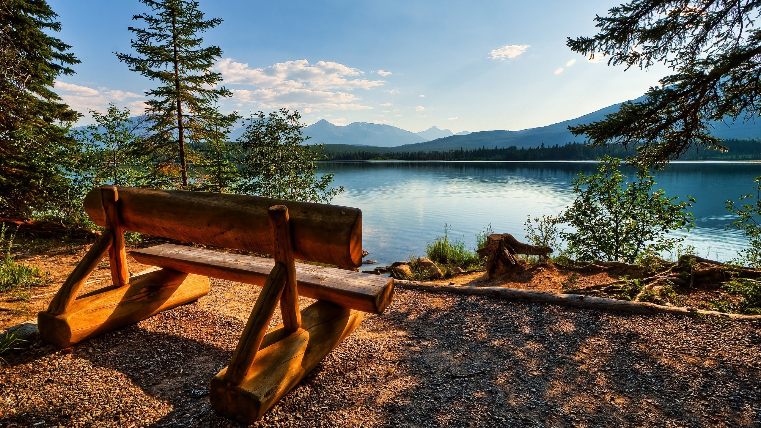 Wooden bench overlooking a lake in Jasper National Park, Alberta, Canada HD Wallpaper