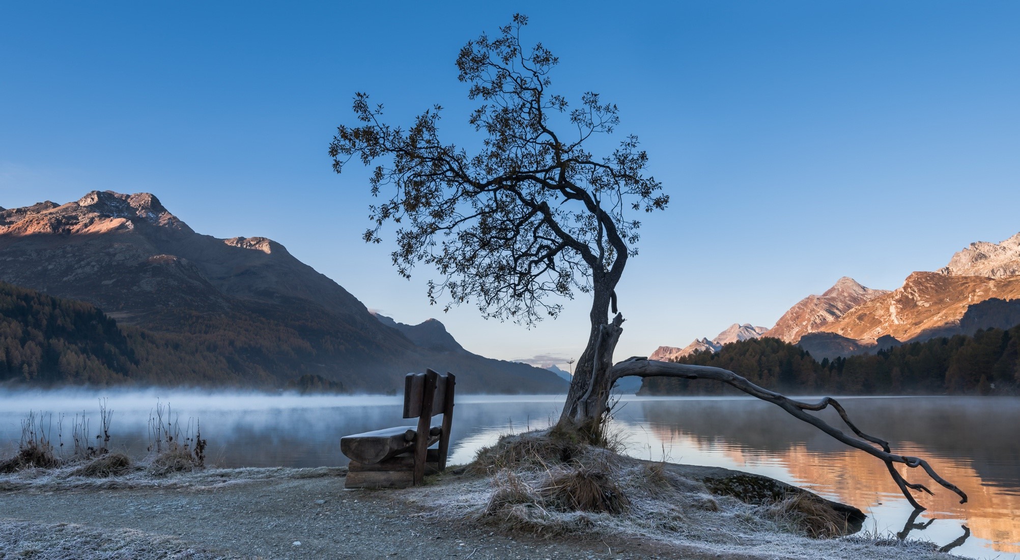 Tree and bench by a misty lake with mountains HD Wallpaper