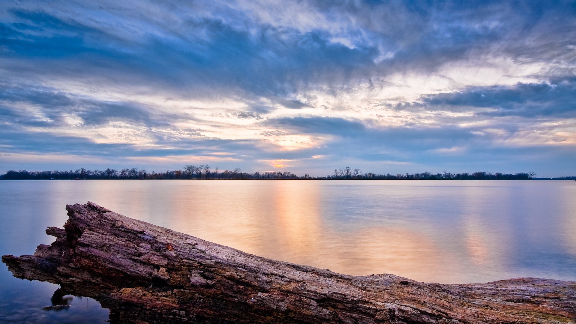 Driftwood on a calm lake at sunset with dramatic clouds HD Wallpaper