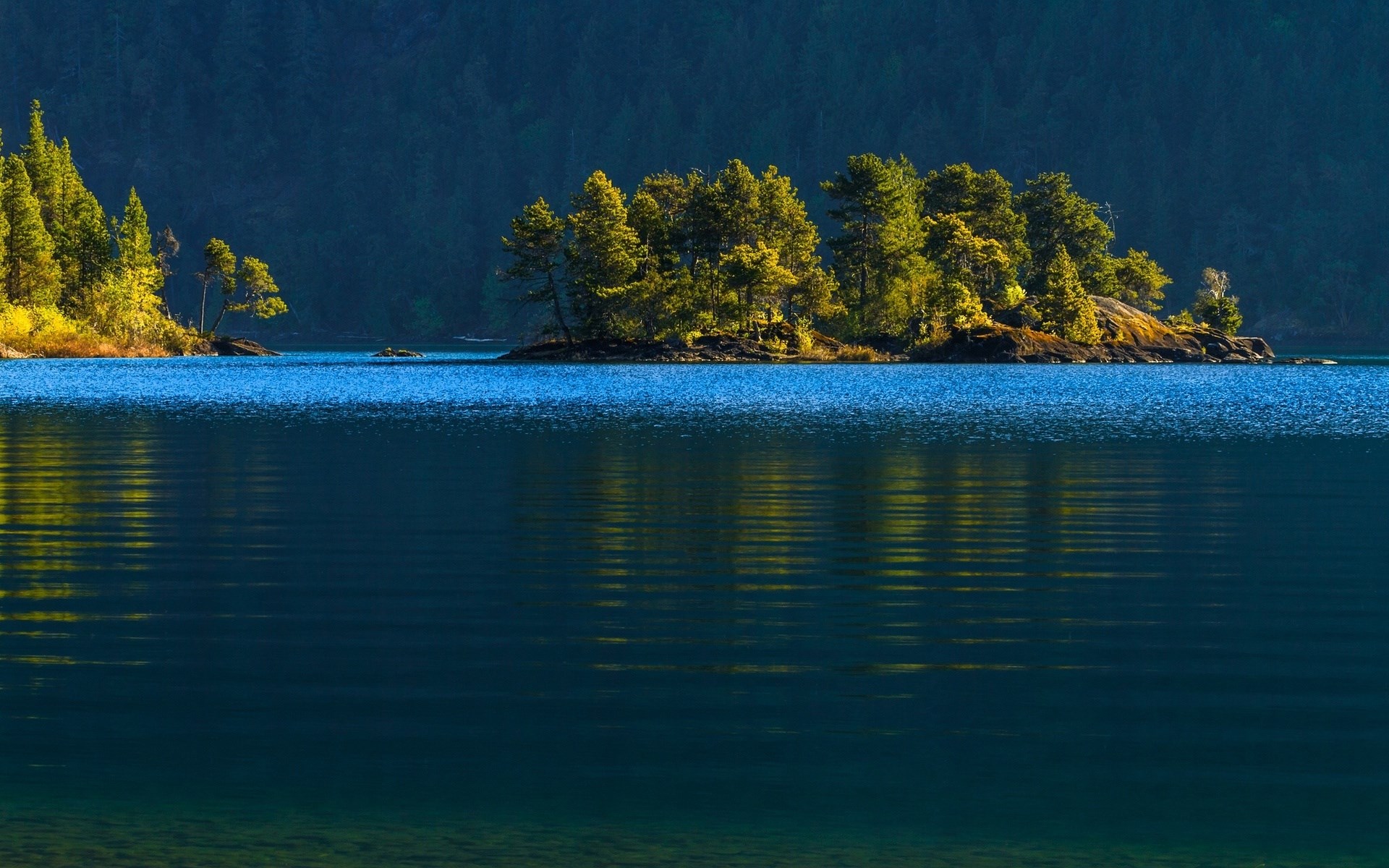 Island with trees on a lake HD Wallpaper