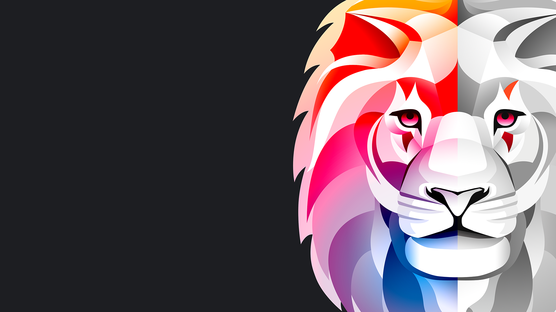 Colorful abstract lion portrait HD Wallpaper