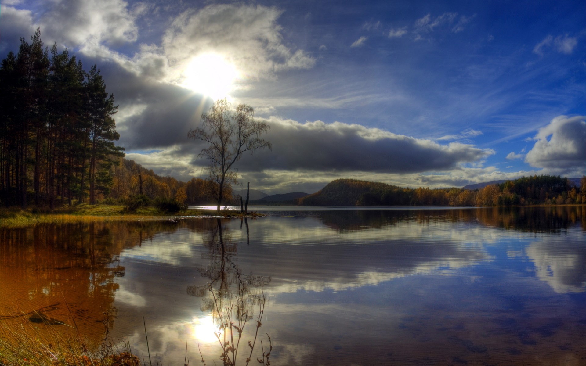 Lake with trees and sun reflection HD Wallpaper