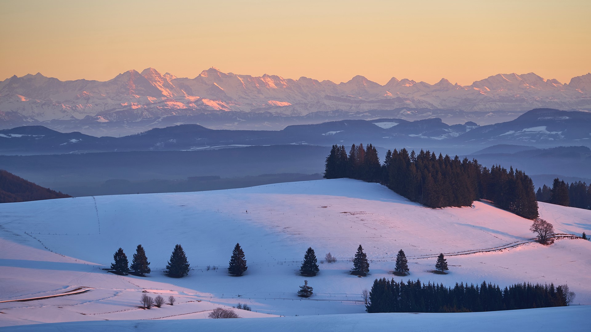 Snowy mountains at sunset with pine trees HD Wallpaper