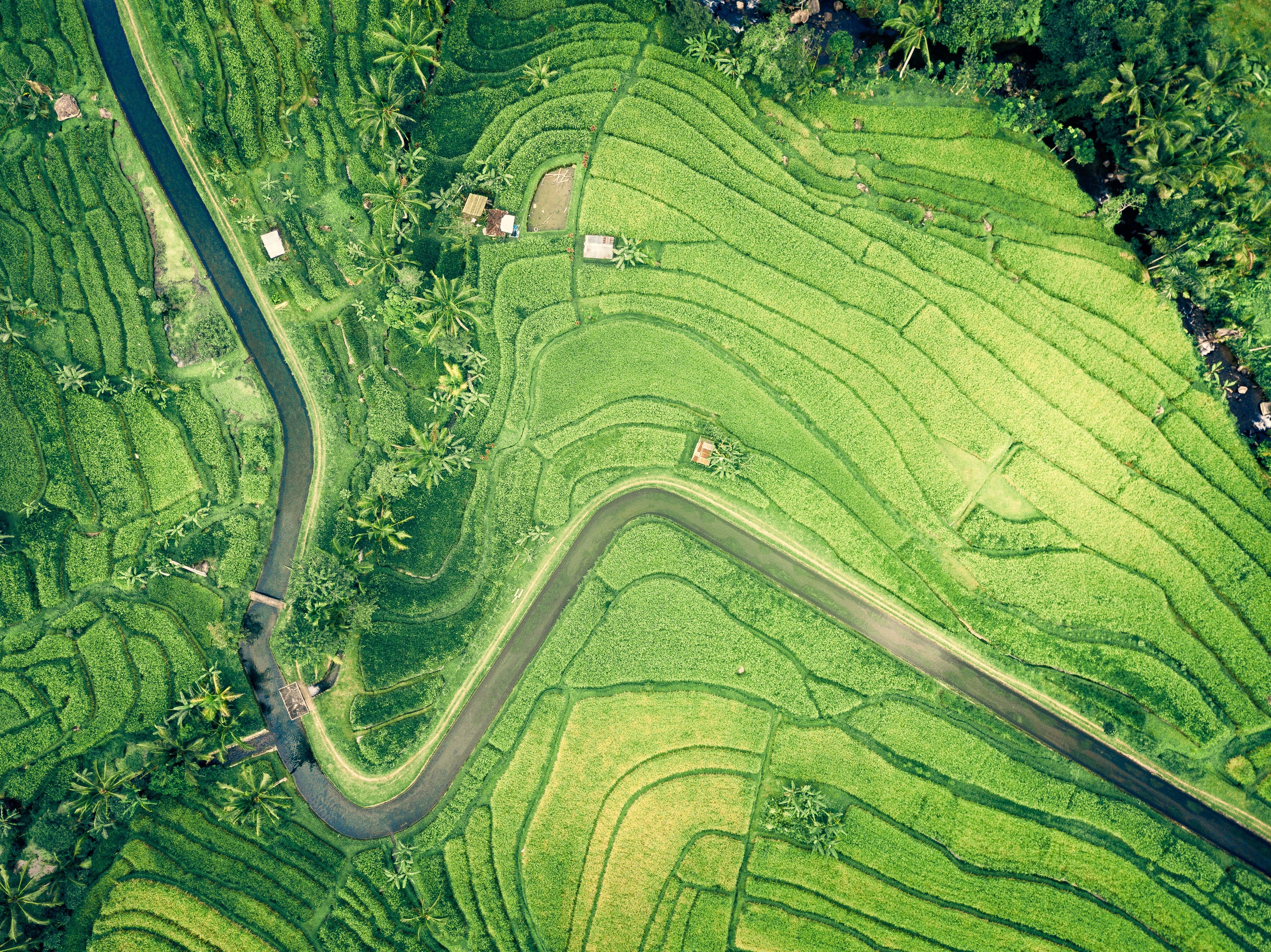 Aerial view of green rice terraces with a river HD Wallpaper