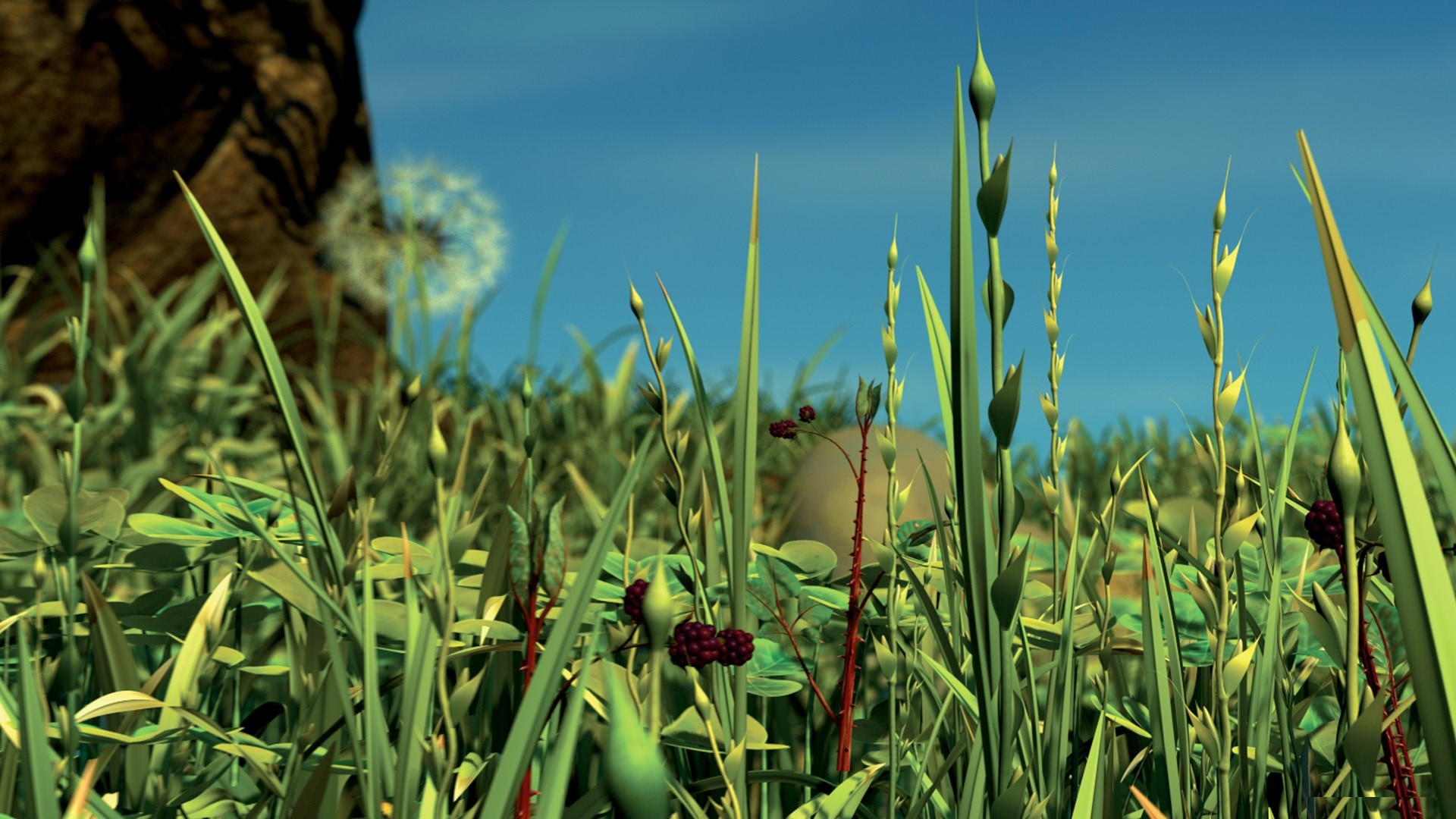 Close-up of grass and berries with blue sky HD Wallpaper