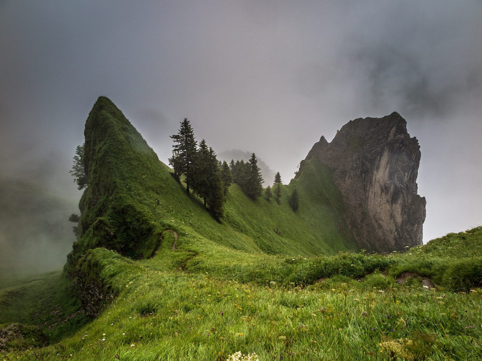 Misty mountain ridge with green grass and trees HD Wallpaper