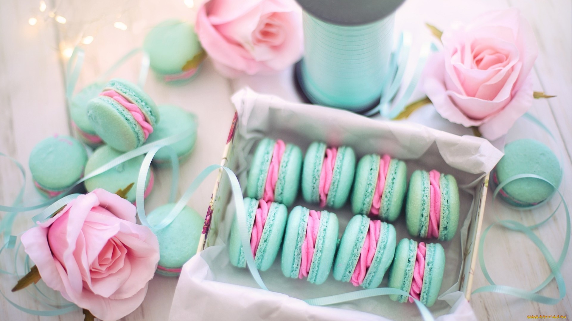 Mint and pink macarons with pink roses HD Wallpaper