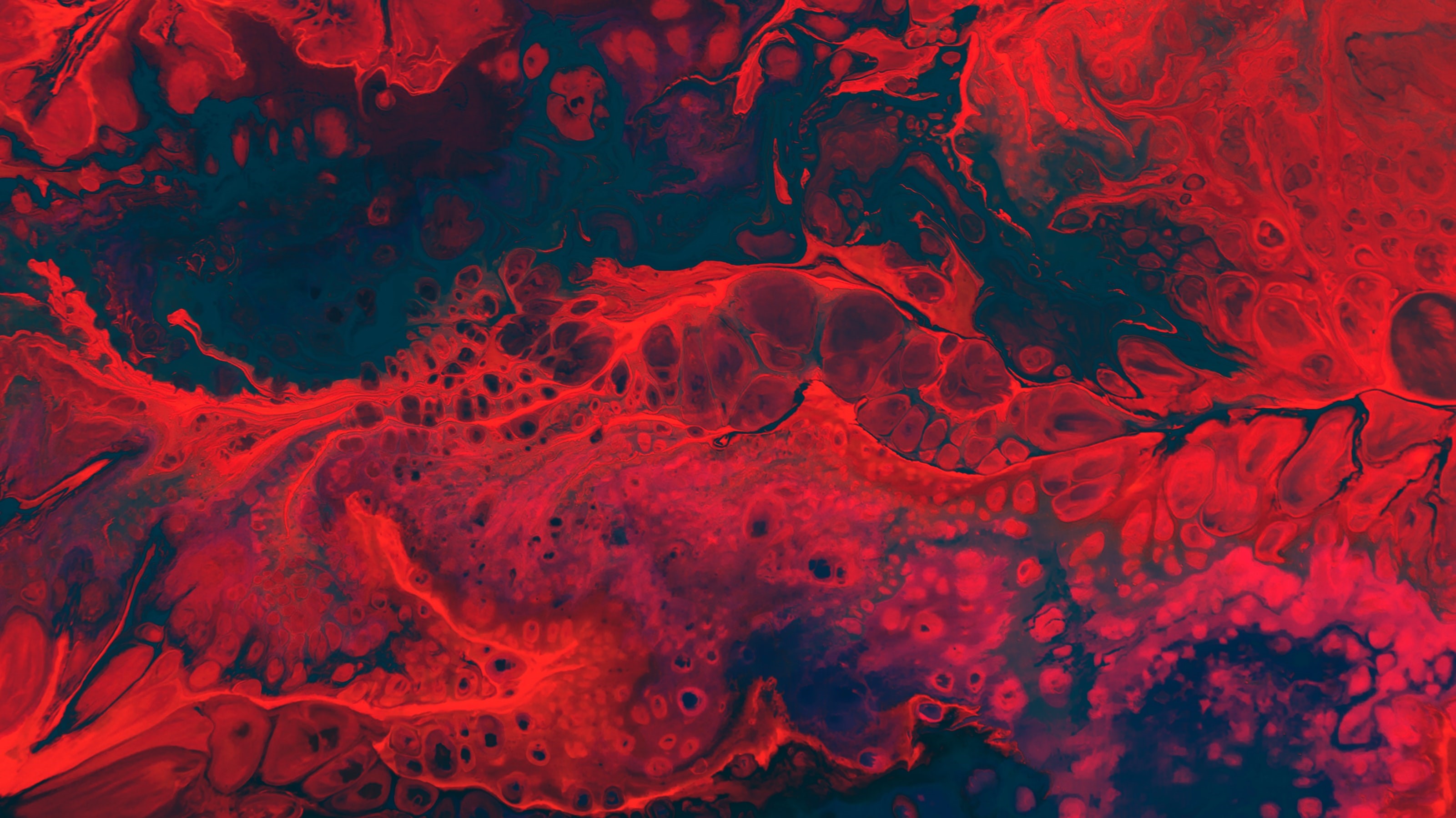 Abstract red and dark blue acrylic pour by Cassi Josh HD Wallpaper