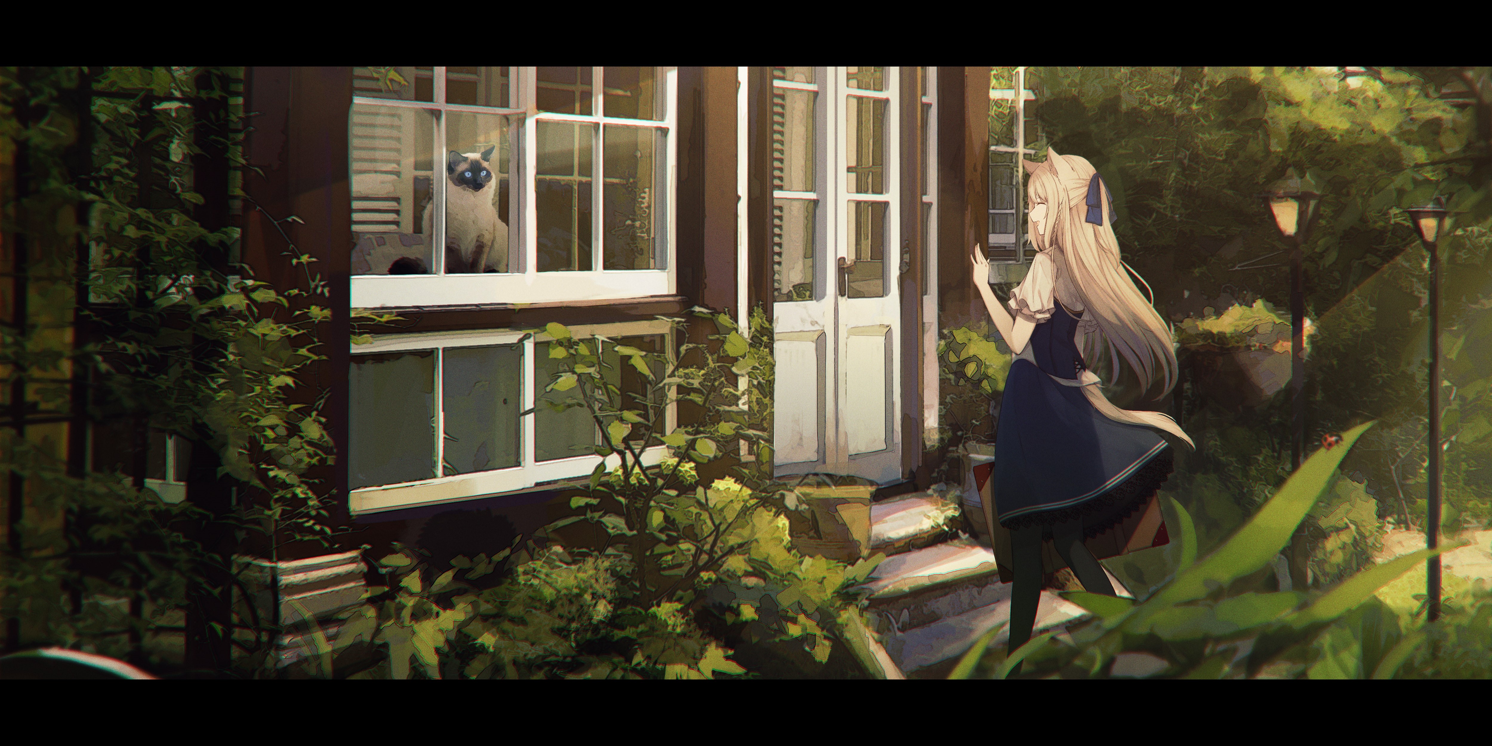 Anime girl and cat by a house HD Wallpaper