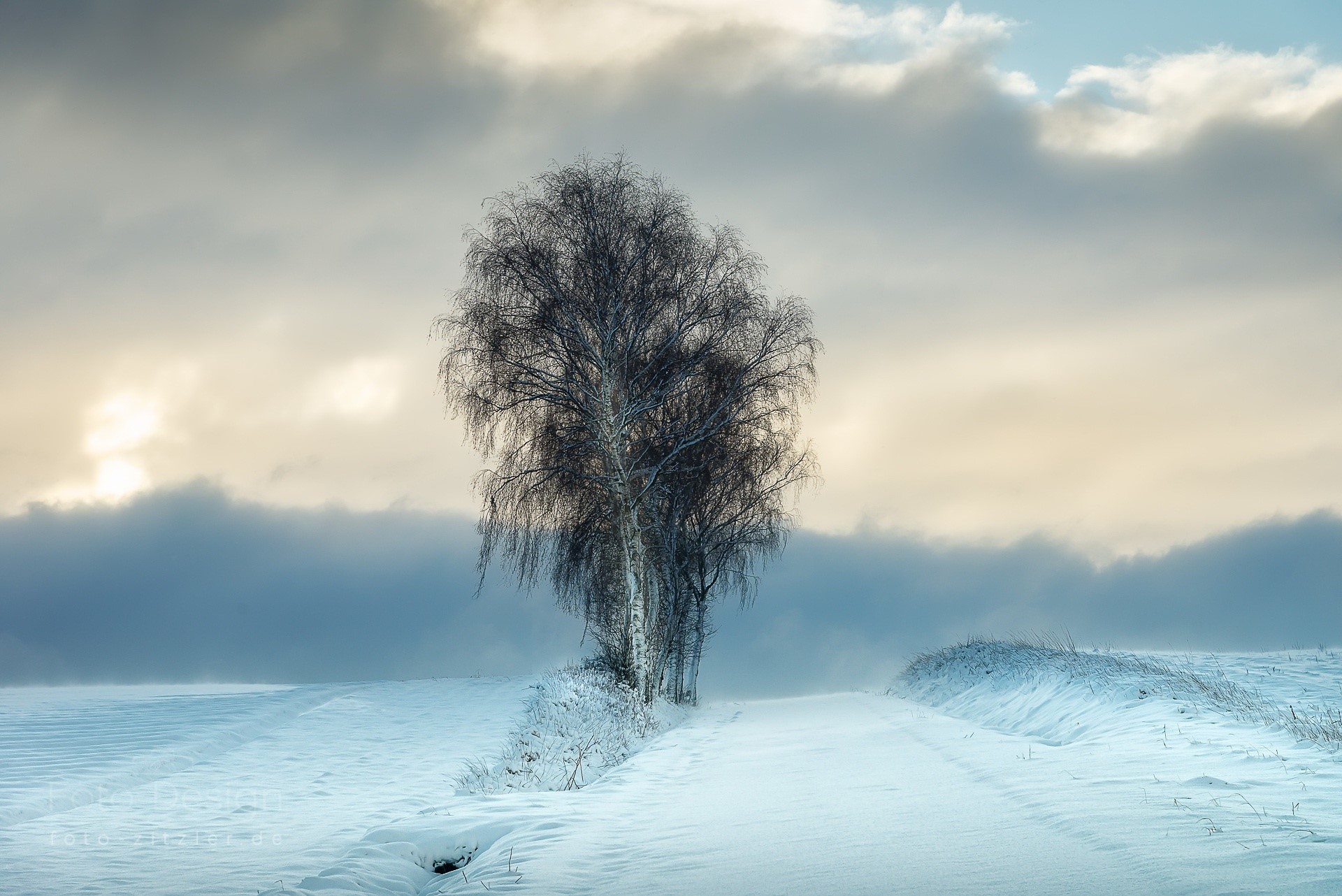 Snowy landscape with bare trees and a path HD Wallpaper