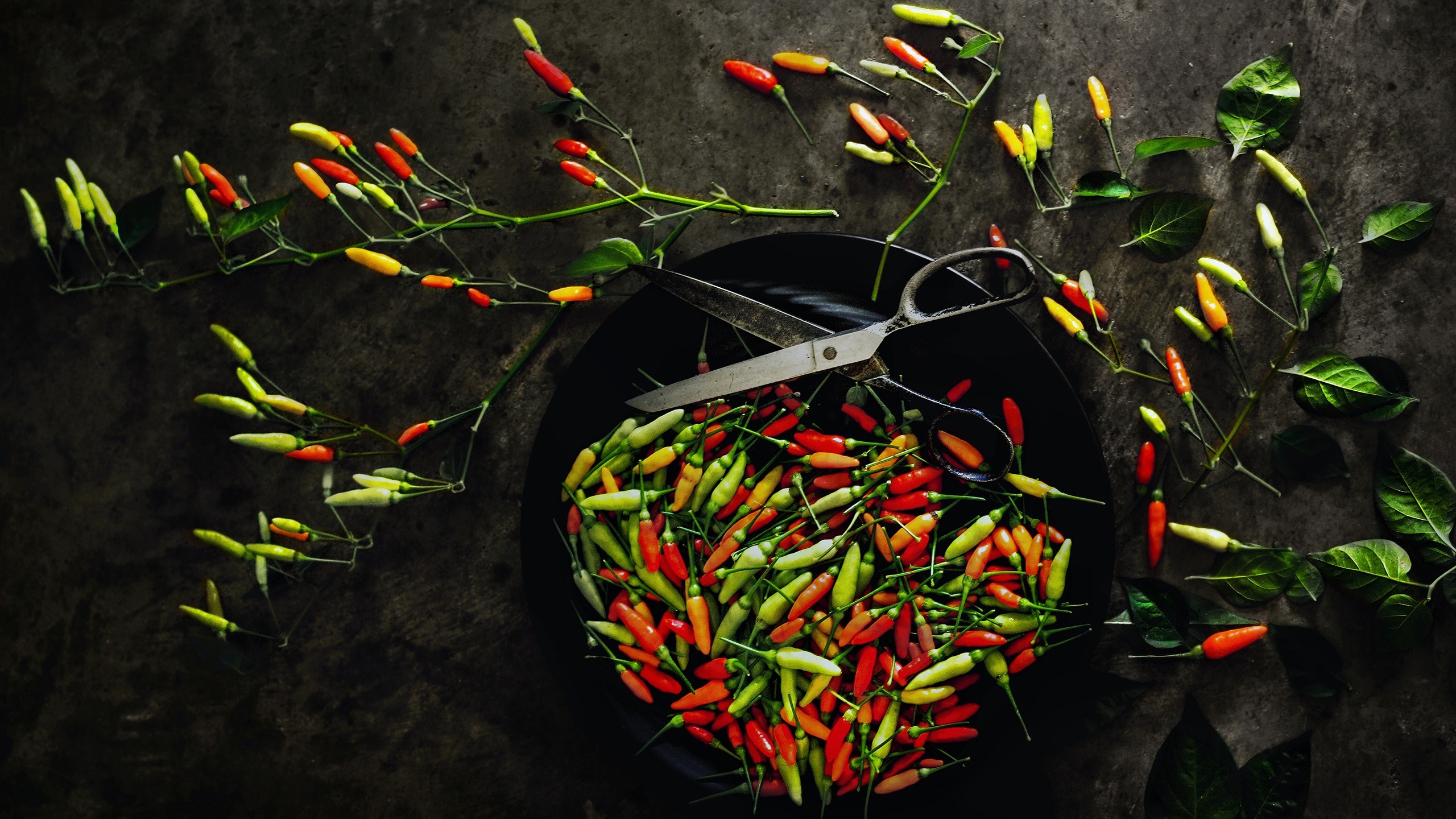 Chilli peppers and scissors on a dark surface HD Wallpaper