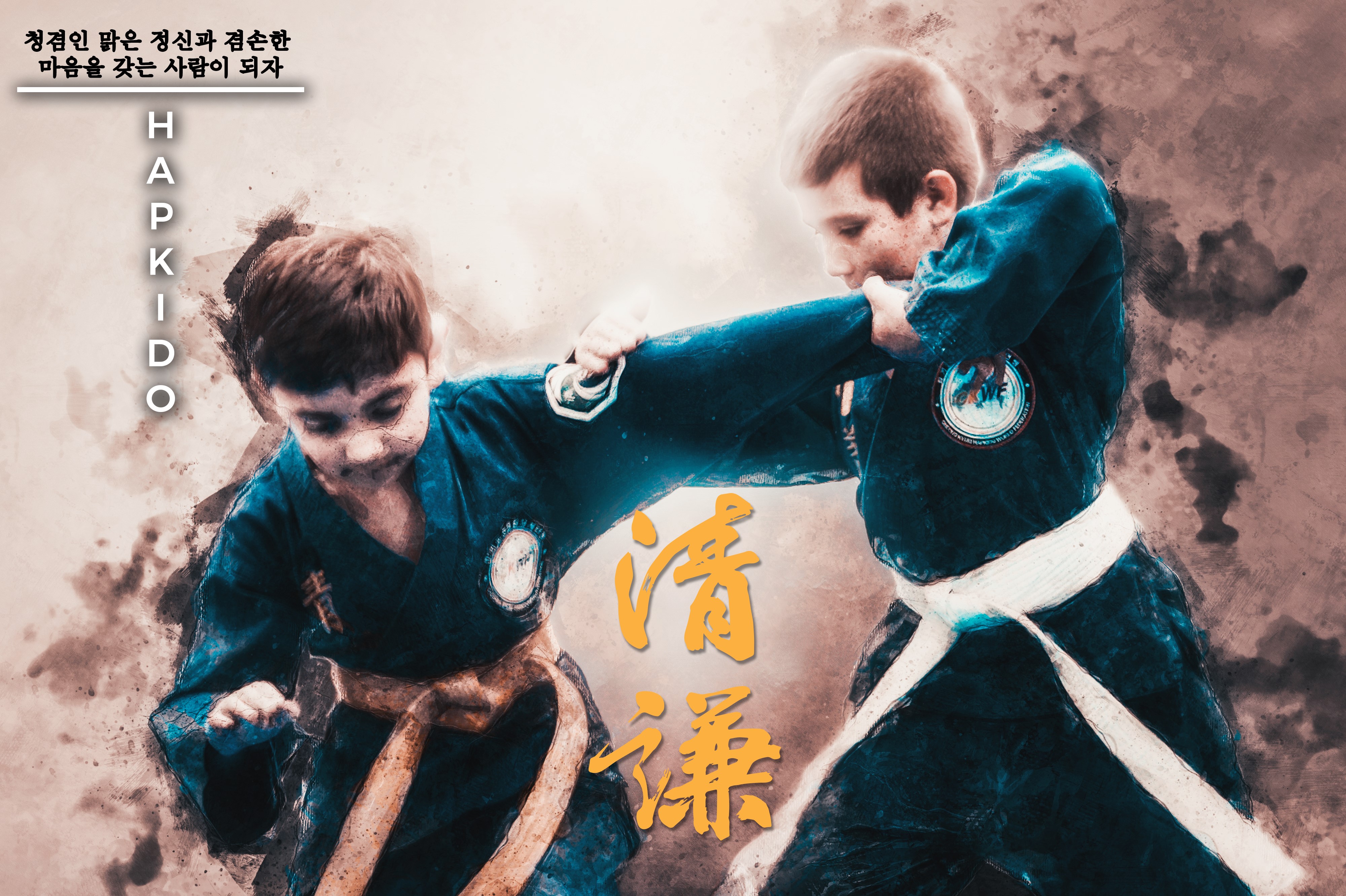 Hapkido Korean Martial Arts Training HD Wallpaper
