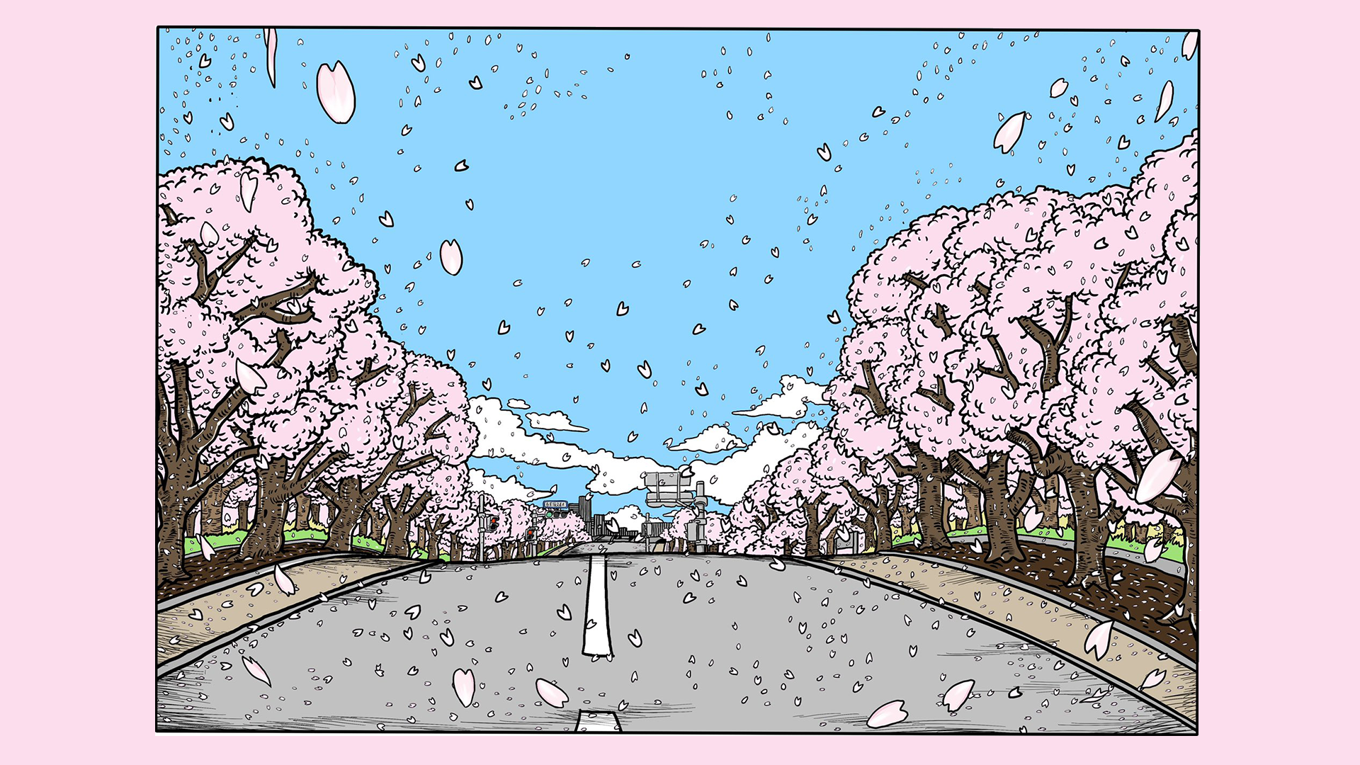 Road lined with cherry blossom trees in bloom HD Wallpaper