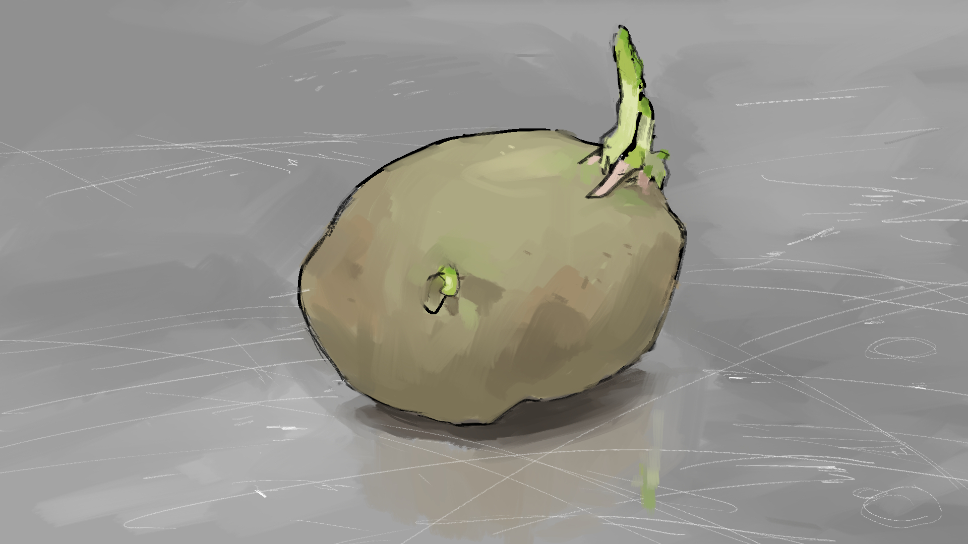 A single potato with sprouts on a gray surface HD Wallpaper