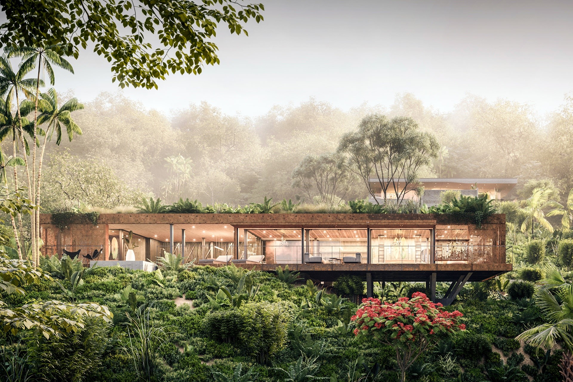 Modern house nestled in a dense, misty forest HD Wallpaper