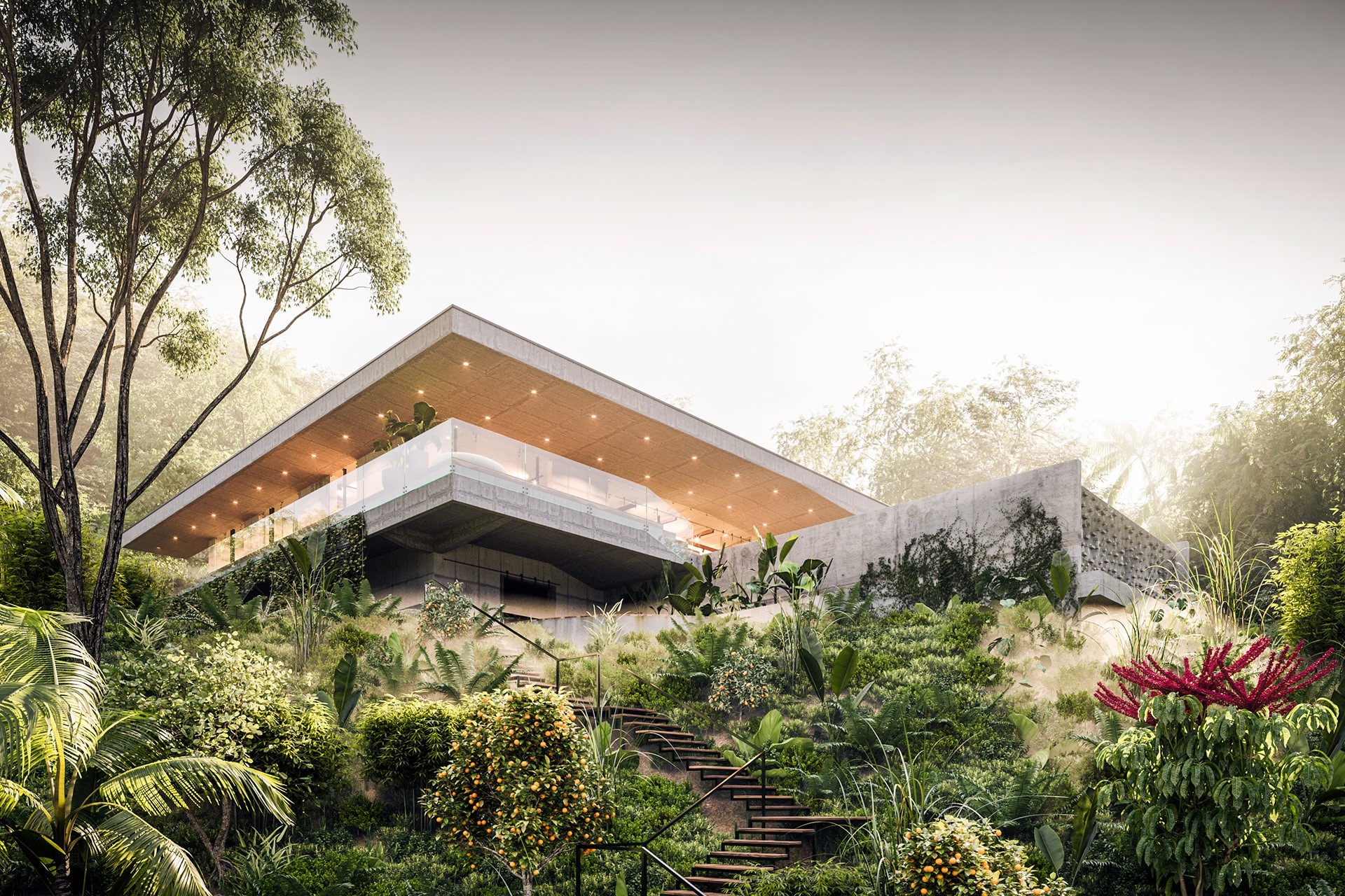Modern house nestled in a lush, green forest with stairs HD Wallpaper