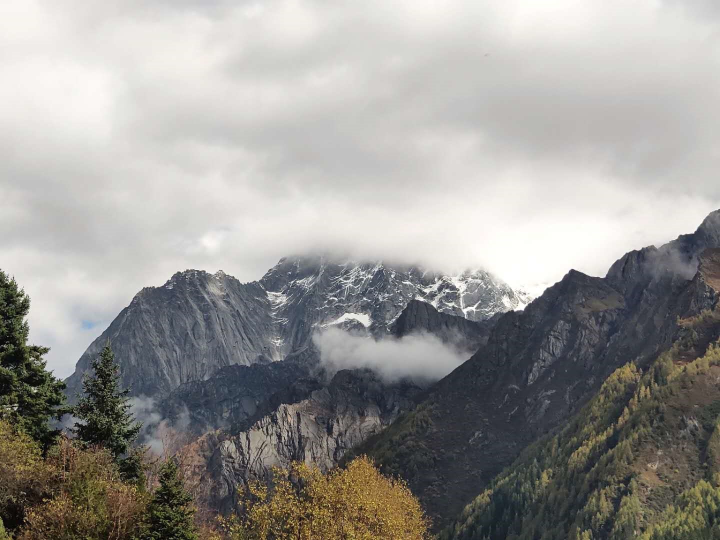 Snow-capped mountains shrouded in clouds with trees in the foreground HD Wallpaper