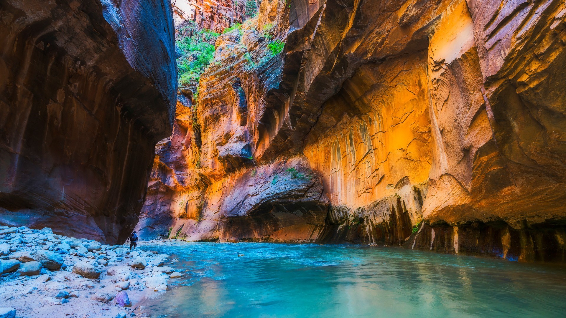 A person walks along the Virgin River in Zion National Park HD Wallpaper