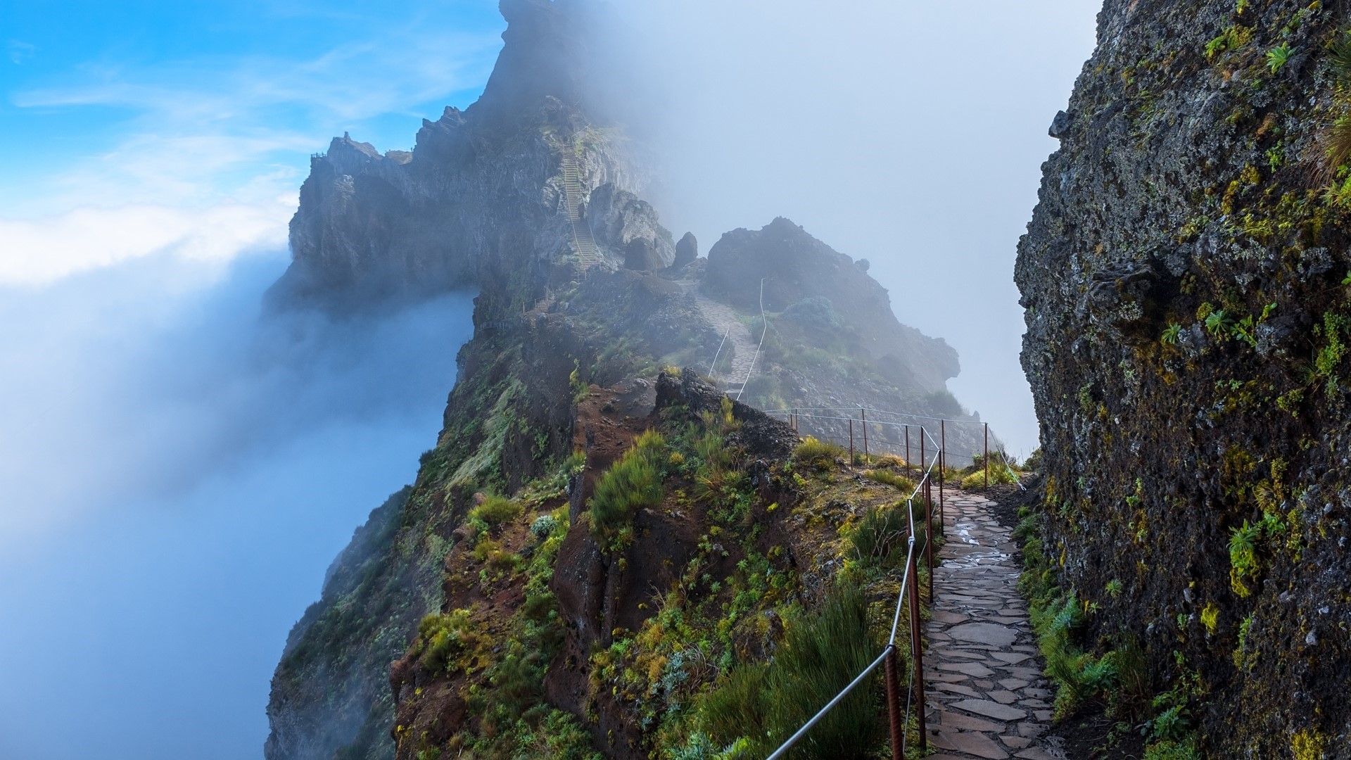 Mountain path through mist in Madeira, Portugal HD Wallpaper