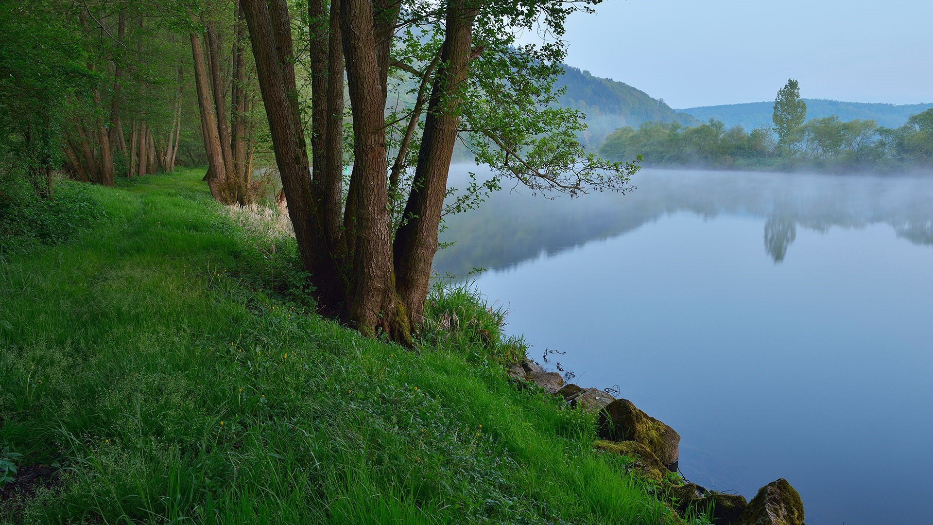 Misty River Morning in Bavaria, Germany HD Wallpaper