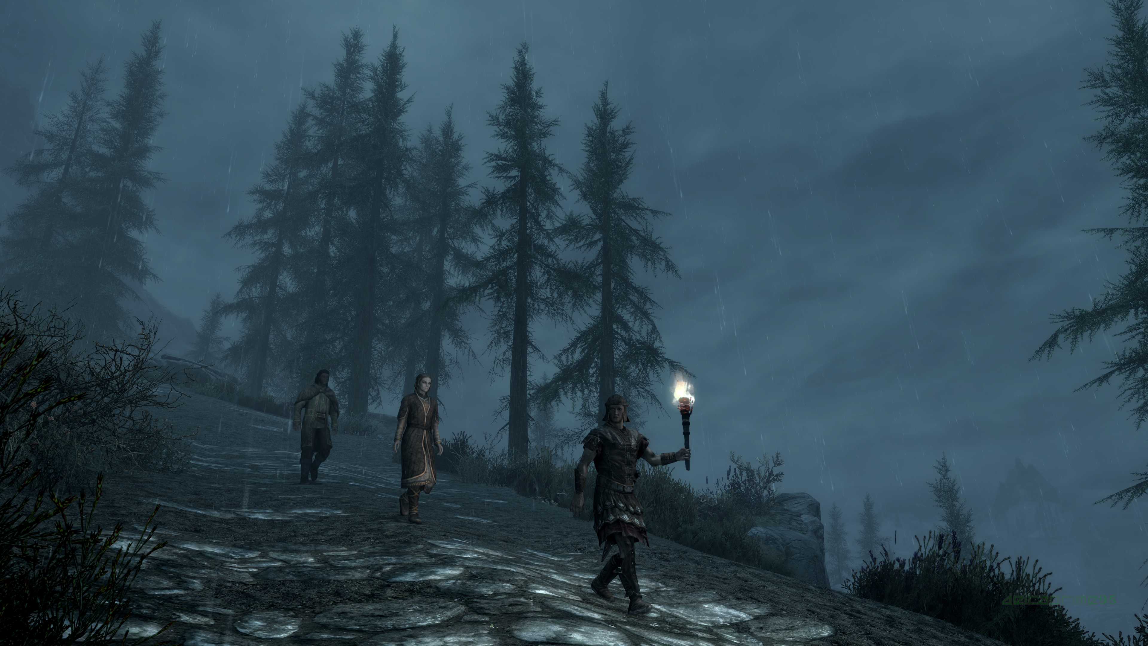 Imperial Soldiers from The Elder Scrolls V: Skyrim in rain HD Wallpaper