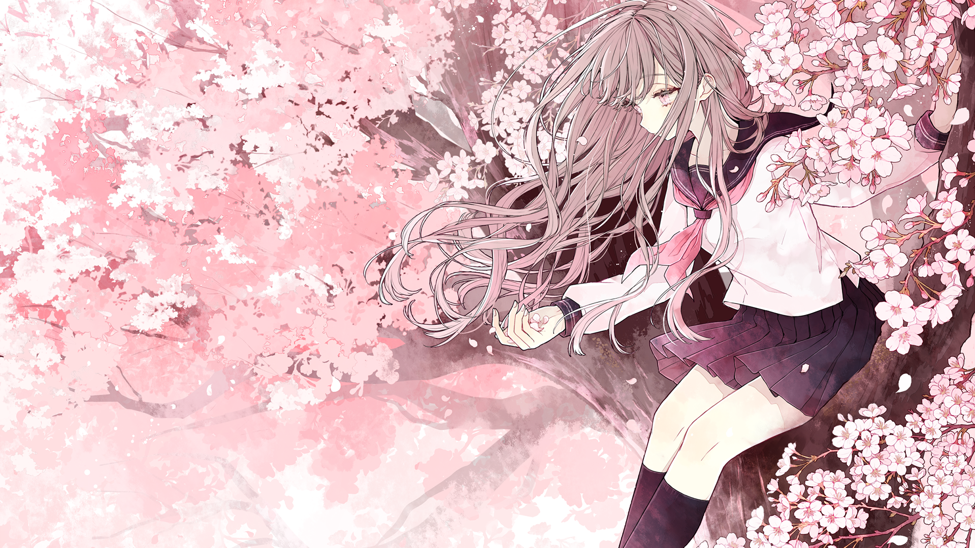Anime girl with long hair among cherry blossoms HD Wallpaper