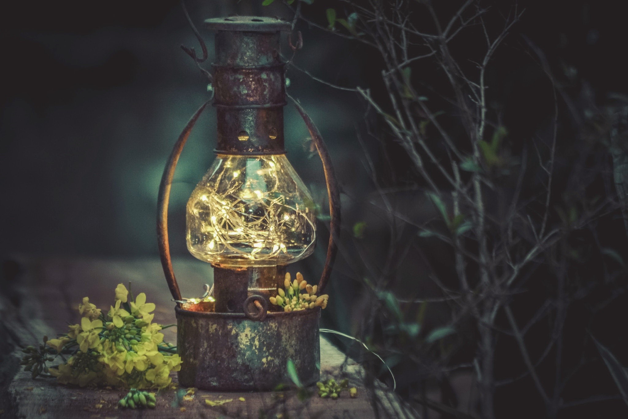 Old lantern with fairy lights and yellow flowers HD Wallpaper