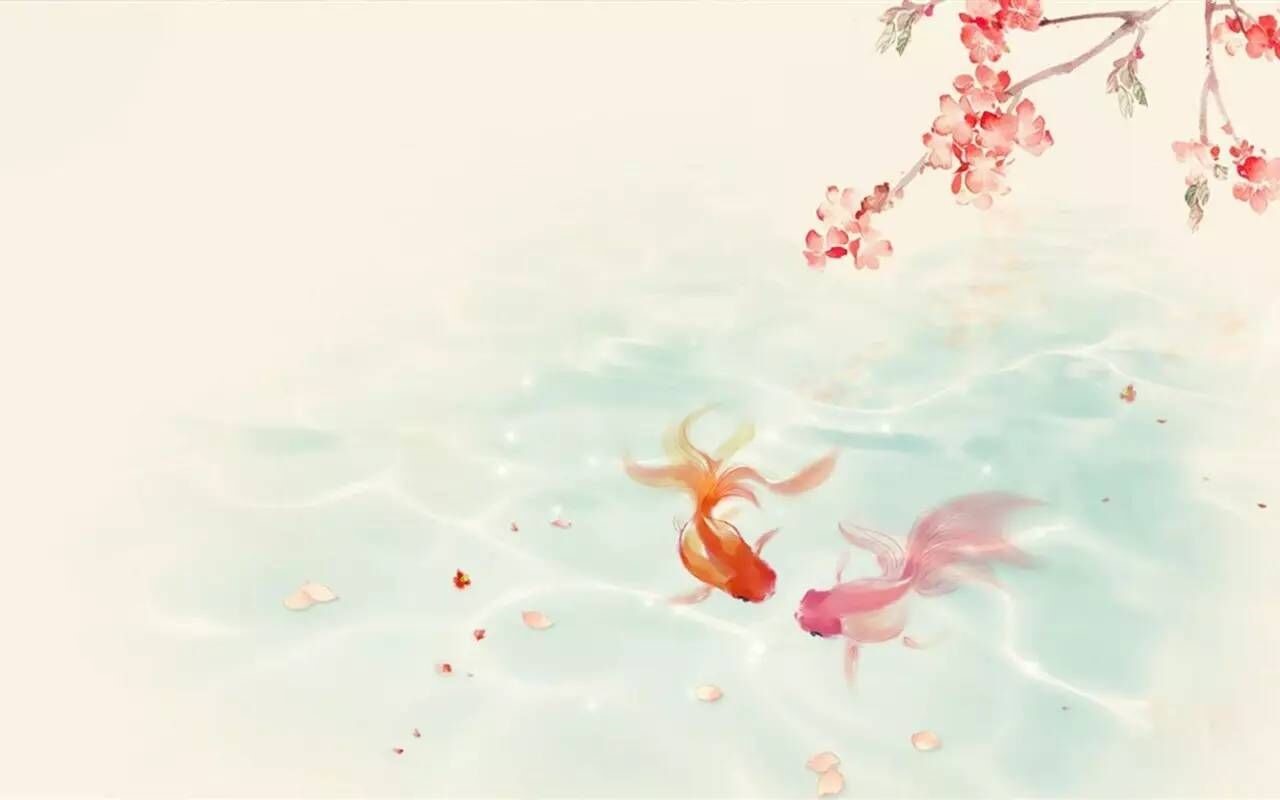 Two goldfish swim in water with cherry blossoms HD Wallpaper