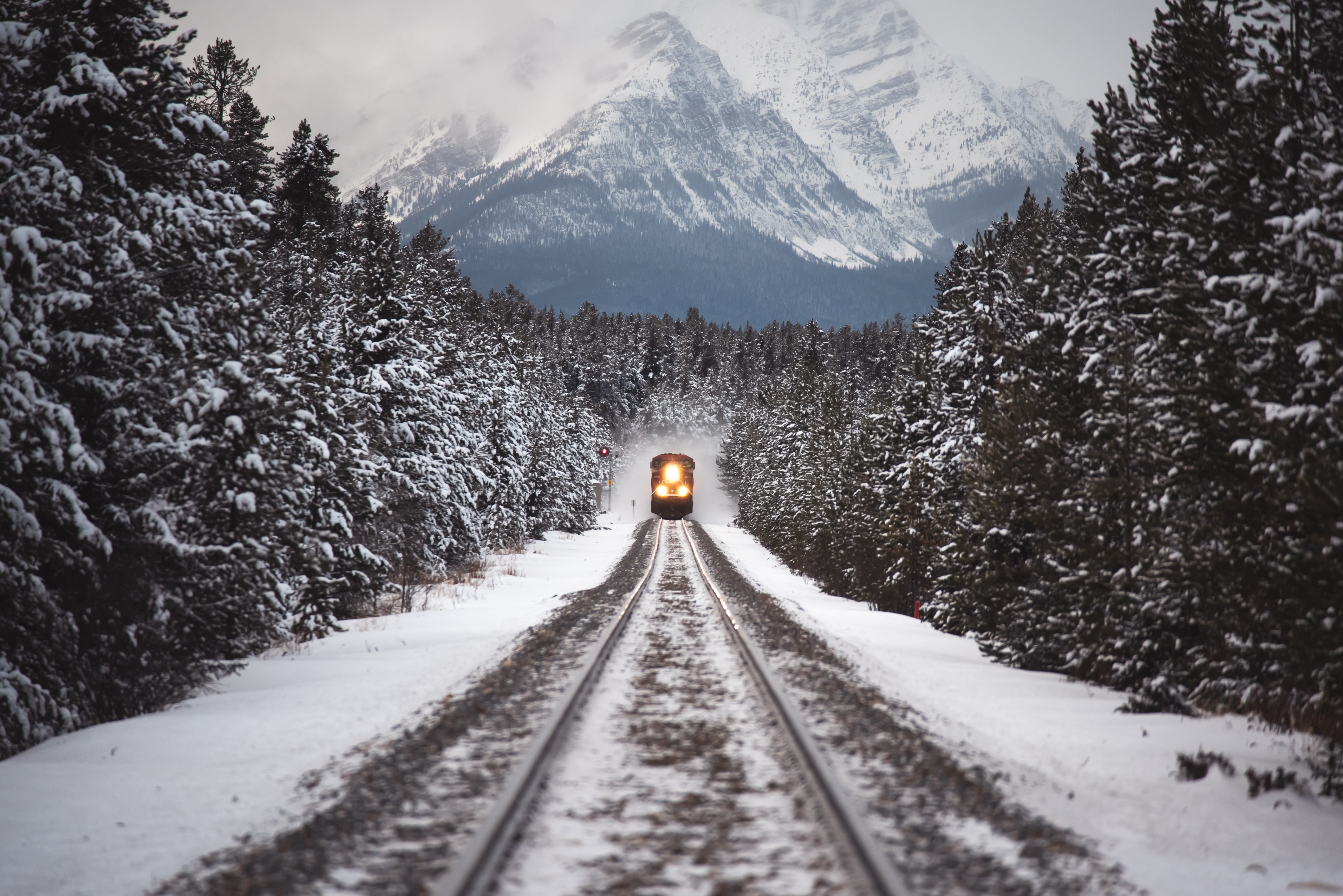 Train approaching through a snowy forest in Canada HD Wallpaper