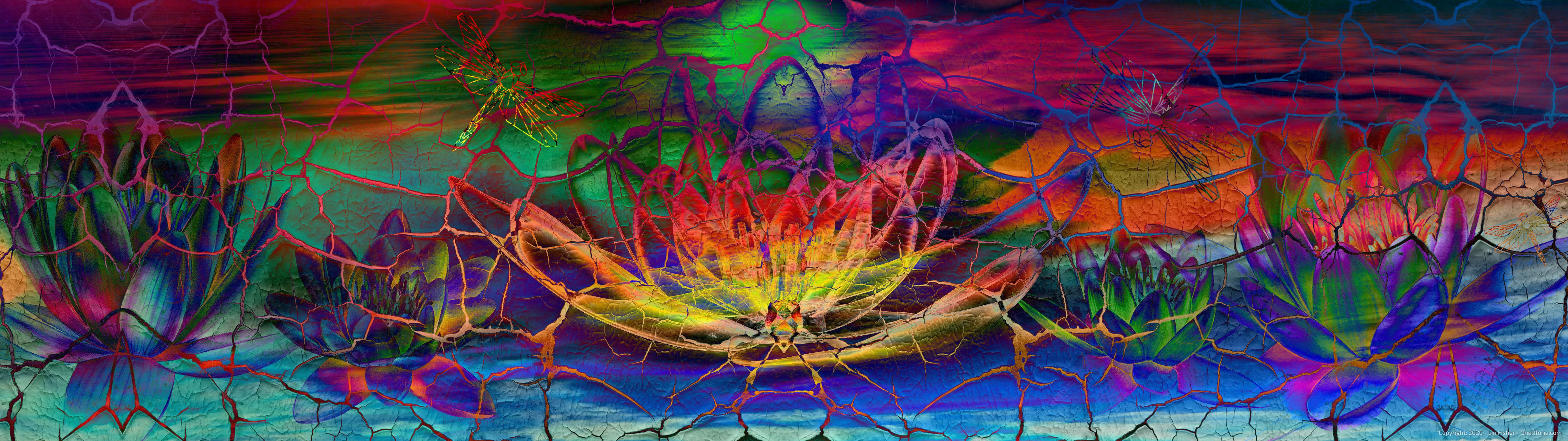 Surreal Lotus Flowers with Dragonfly HD Wallpaper