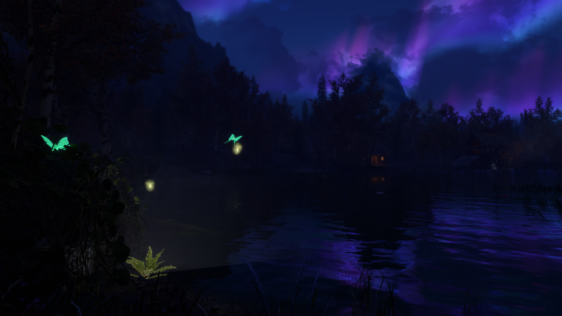 The Elder Scrolls V: Skyrim - Night scene with aurora HD Wallpaper