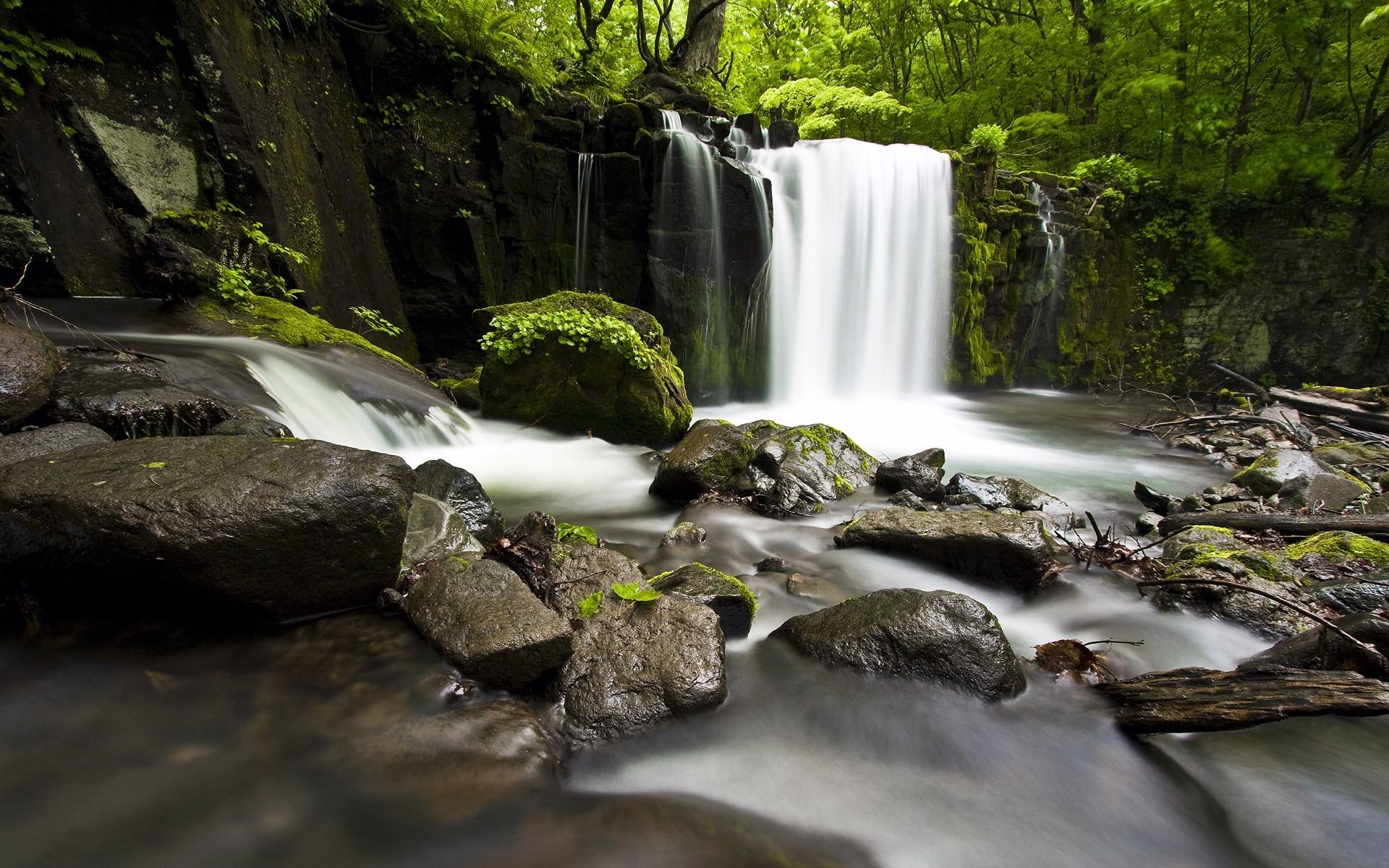 Waterfall in a mossy forest with rocks HD Wallpaper