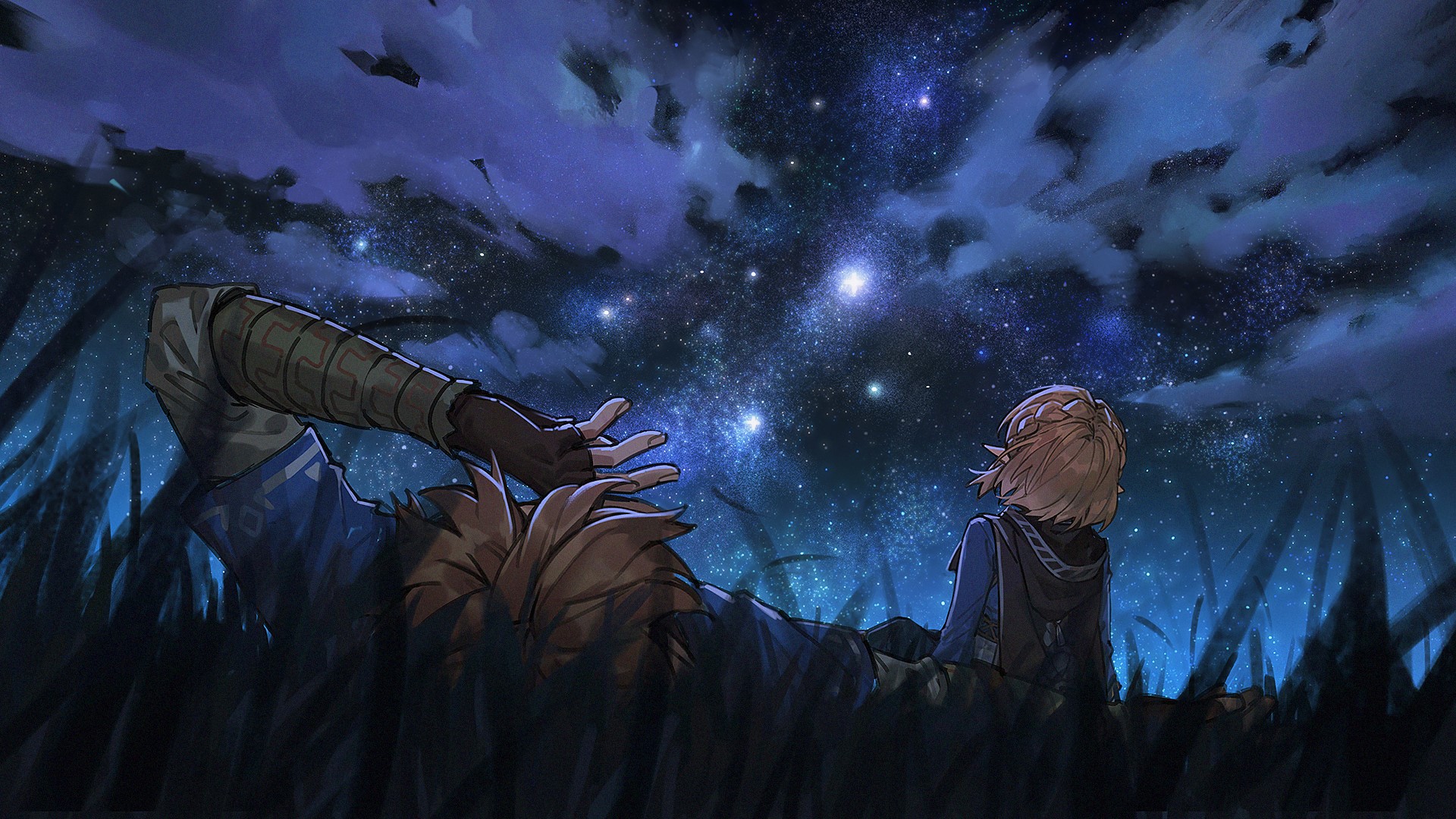 Link and Princess Zelda Stargazing at Night HD Wallpaper