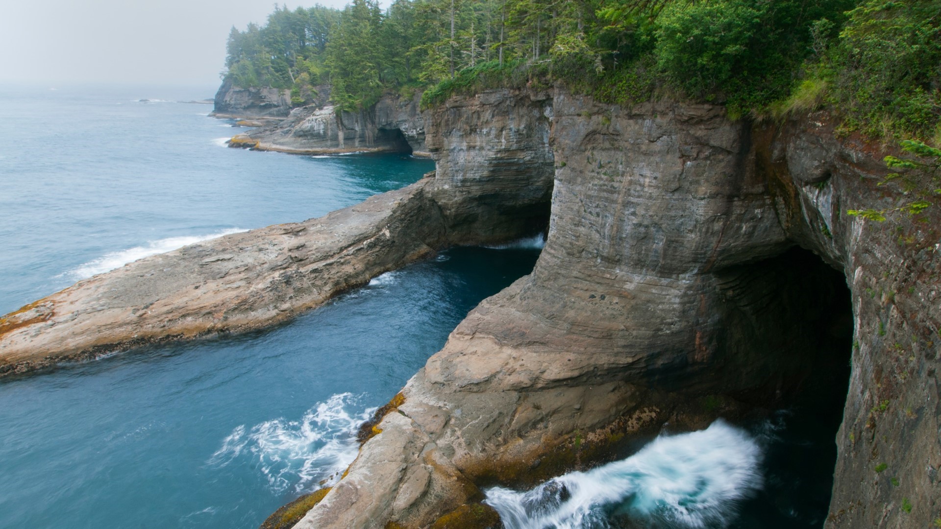 Cape Flattery sea caves and rocky coastline with trees HD Wallpaper