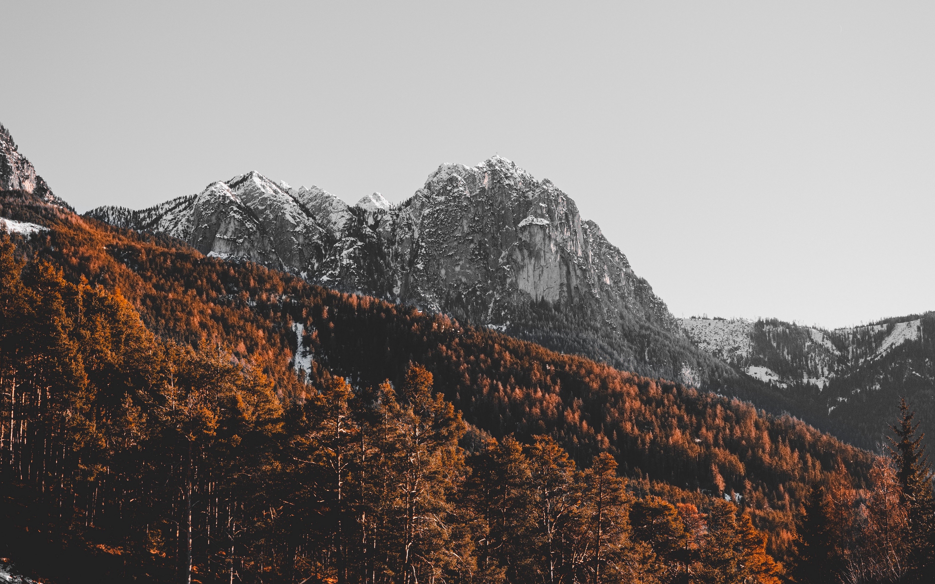 4K Mountain Landscape with Autumn Trees HD Wallpaper